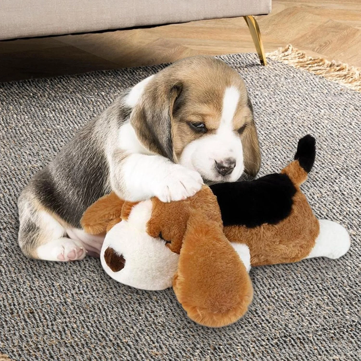 اسباب بازی ضربان قلب توله سگ - اسباب بازی های سگ مخمل خواب دار، کمک آرام بخش برای تحریک جویدن، آرامش، همراهی، دندان درآوردن، آموزش، بی حوصلگی، جدایی، بازی اسباب بازی ضربان قلب توله سگ - اسباب بازی های سگ مخمل خواب دار، کمک آرام بخش برای تحریک جویدن، آرامش، همراهی، دندان درآوردن، آموزش، بی حوصلگی، جدایی، بازی