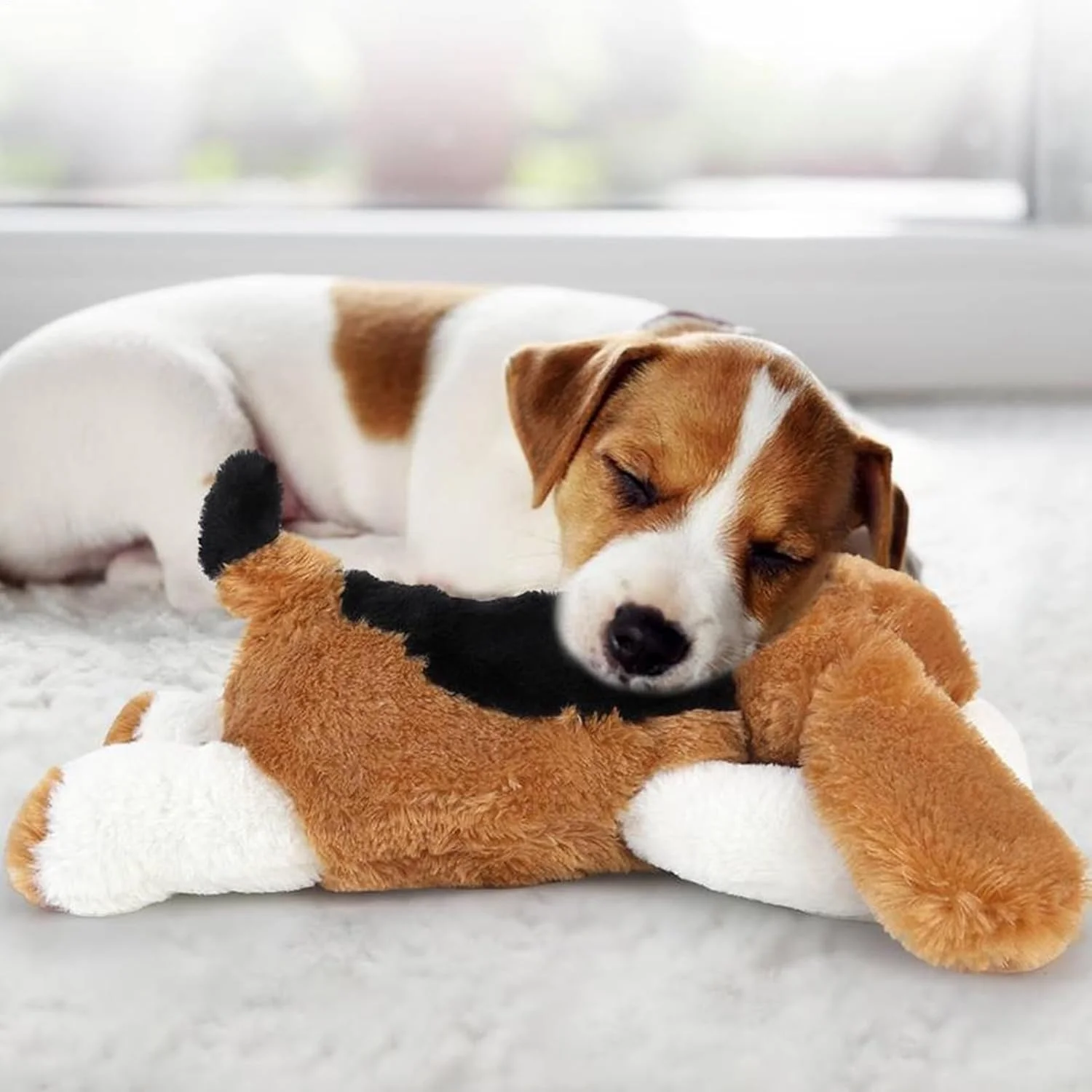 اسباب بازی ضربان قلب توله سگ - اسباب بازی های سگ مخمل خواب دار، کمک آرام بخش برای تحریک جویدن، آرامش، همراهی، دندان درآوردن، آموزش، بی حوصلگی، جدایی، بازی اسباب بازی ضربان قلب توله سگ - اسباب بازی های سگ مخمل خواب دار، کمک آرام بخش برای تحریک جویدن، آرامش، همراهی، دندان درآوردن، آموزش، بی حوصلگی، جدایی، بازی