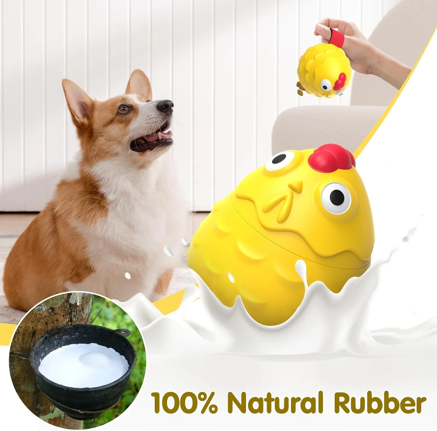 اسباب بازی سگ مرغ لاستیکی طبیعی - اسباب بازی جویدنی تعاملی پخش کننده غذا برای دندان درآوردن توله سگ و سلامت دندان - اسباب بازی های جویدنی لاستیکی بادوام برای سگ های کوچک، متوسط و بزرگ اسباب بازی سگ مرغ لاستیکی طبیعی - اسباب بازی جویدنی تعاملی پخش کننده غذا برای دندان درآوردن توله سگ و سلامت دندان - اسباب بازی های جویدنی لاستیکی بادوام برای سگ های کوچک، متوسط و بزرگ