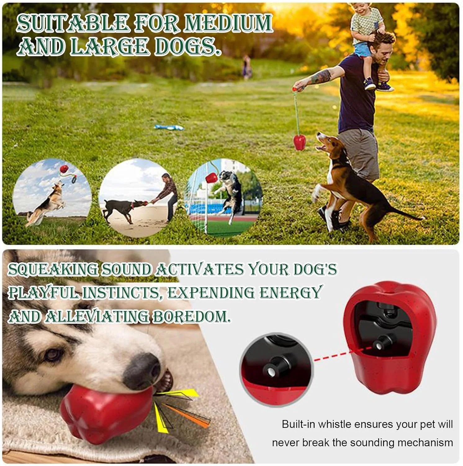 اسباب بازی های صدادار برای سگ ها، میوه صدادار ضد استرس - اسباب بازی آموزشی تعاملی برای استخر ساحلی، تحریک تعقیب در فضای داخلی، رفع خستگی و بازی در خانه اسباب بازی های صدادار برای سگ ها، میوه صدادار ضد استرس - اسباب بازی آموزشی تعاملی برای استخر ساحلی، تحریک تعقیب در فضای داخلی، رفع خستگی و بازی در خانه