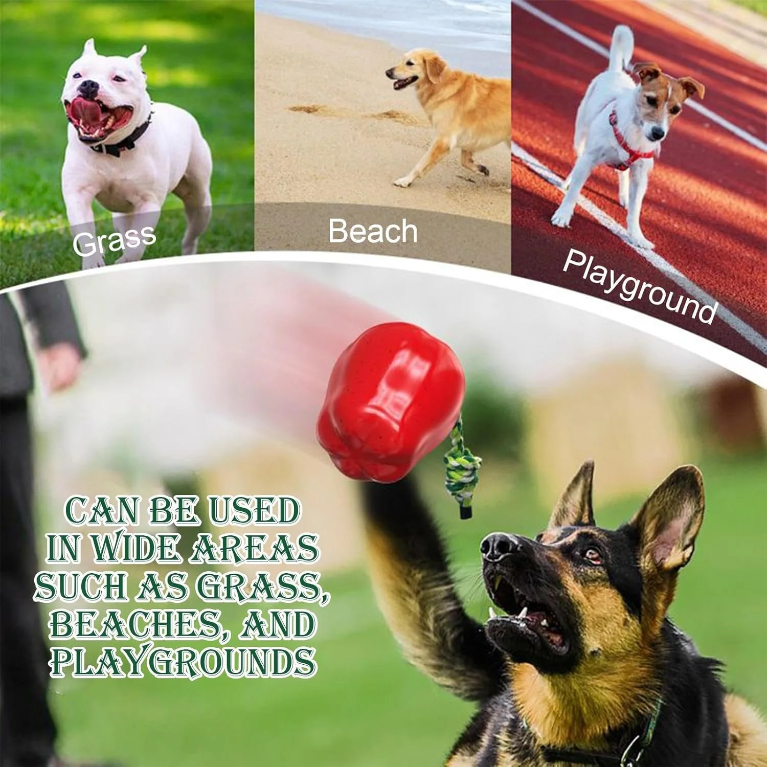 اسباب بازی های صدادار برای سگ های کوچک | میوه صدادار برای جویدن - اسباب بازی تعاملی برای جویدن تهاجمی، مناسب برای آموزش، تعقیب، دندان درآوردن، شکار، رفع بی حوصلگی در فضای باز، ساحل، استخر و داخل خانه اسباب بازی های صدادار برای سگ های کوچک | میوه صدادار برای جویدن - اسباب بازی تعاملی برای جویدن تهاجمی، مناسب برای آموزش، تعقیب، دندان درآوردن، شکار، رفع بی حوصلگی در فضای باز، ساحل، استخر و داخل خانه