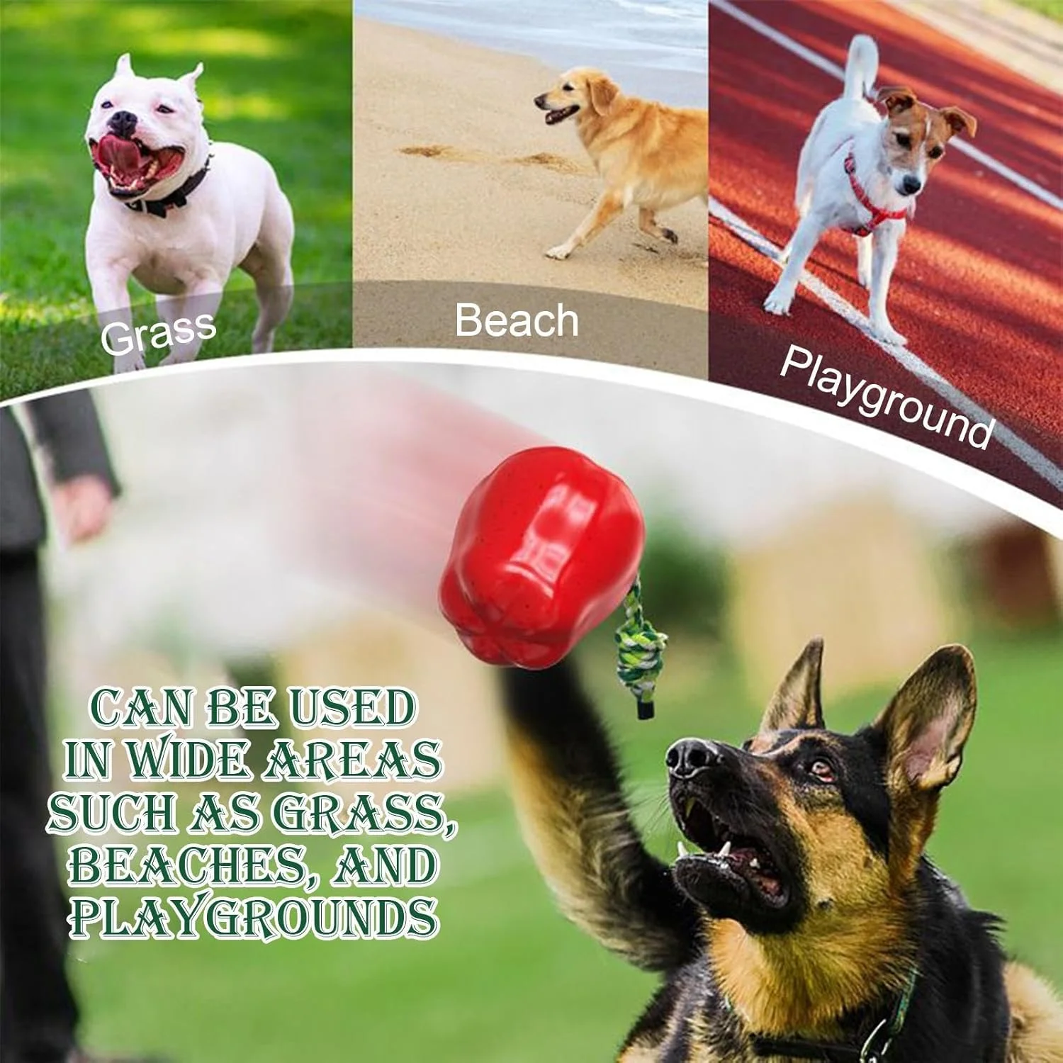 اسباب بازی سگ جیر جیر کننده - میوه جیر جیر کننده ضد استرس - اسباب بازی سگ جویدنی تهاجمی برای تعقیب، شکار، دندان درآوردن، تحریک، آموزش، فضای باز، ساحل، استخر، رشد توله سگ در محیط داخلی اسباب بازی سگ جیر جیر کننده - میوه جیر جیر کننده ضد استرس - اسباب بازی سگ جویدنی تهاجمی برای تعقیب، شکار، دندان درآوردن، تحریک، آموزش، فضای باز، ساحل، استخر، رشد توله سگ در محیط داخلی