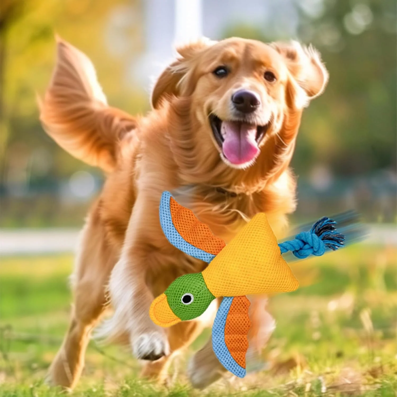 اسباب بازی های کوچک سگ با صدا - اسباب بازی های گاز گرفتن دندان پرنده | لوازم دندان درآوردن تعاملی و مقاوم با پنبه پر شده و گره طناب برای حیوانات خانگی جویدنی تهاجمی توله سگ کوچک متوسط بزرگ اسباب بازی های کوچک سگ با صدا - اسباب بازی های گاز گرفتن دندان پرنده | لوازم دندان درآوردن تعاملی و مقاوم با پنبه پر شده و گره طناب برای حیوانات خانگی جویدنی تهاجمی توله سگ کوچک متوسط بزرگ