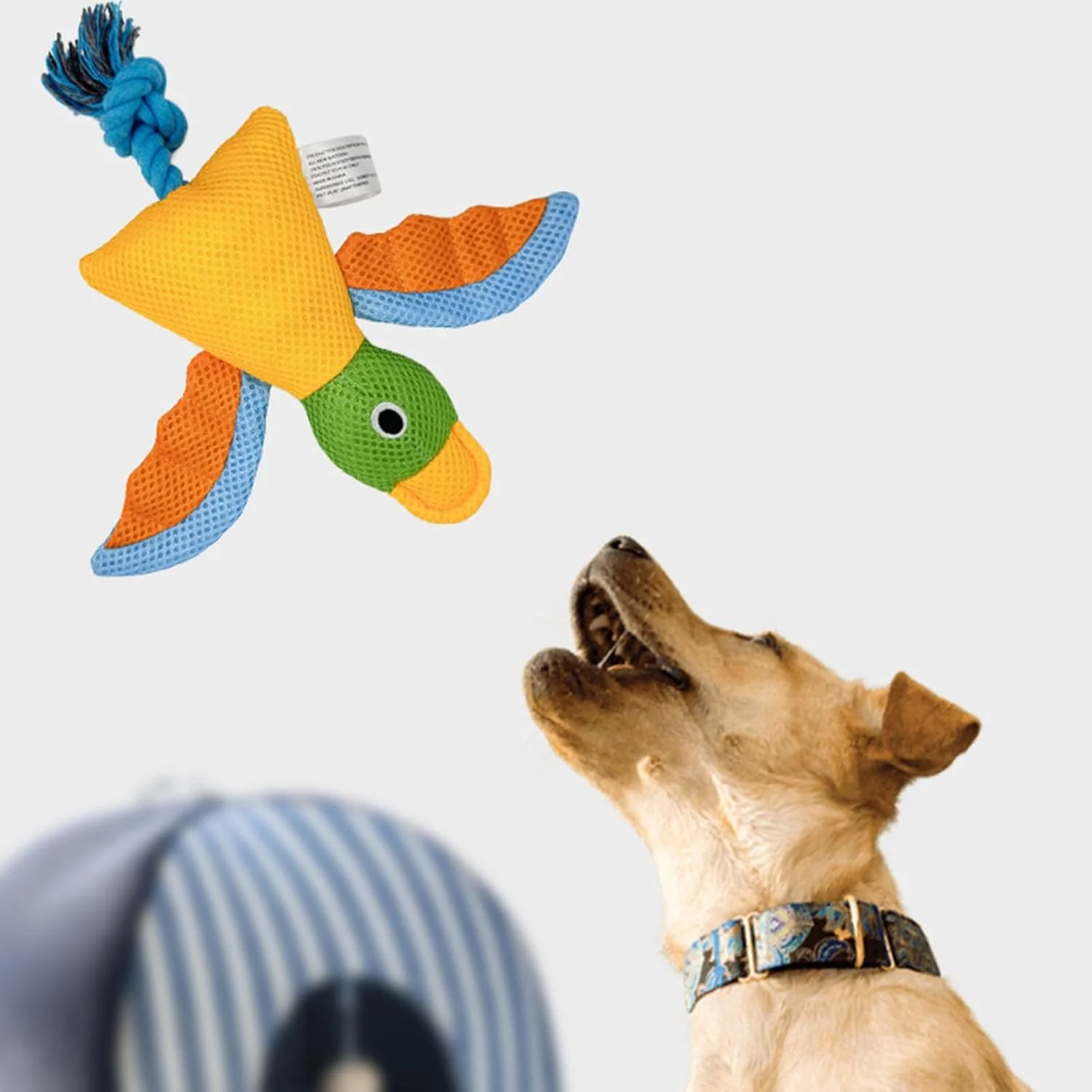 اسباب بازی های کوچک سگ، اسباب بازی های جویدنی توله سگ طرح پرنده | وسایل دندان درآوردن تعاملی با پنبه پر شده و گره طناب برای رفع بی حوصلگی سگ های جونده پرخاشگر نژاد کوچک متوسط بزرگ اسباب بازی های کوچک سگ، اسباب بازی های جویدنی توله سگ طرح پرنده | وسایل دندان درآوردن تعاملی با پنبه پر شده و گره طناب برای رفع بی حوصلگی سگ های جونده پرخاشگر نژاد کوچک متوسط بزرگ