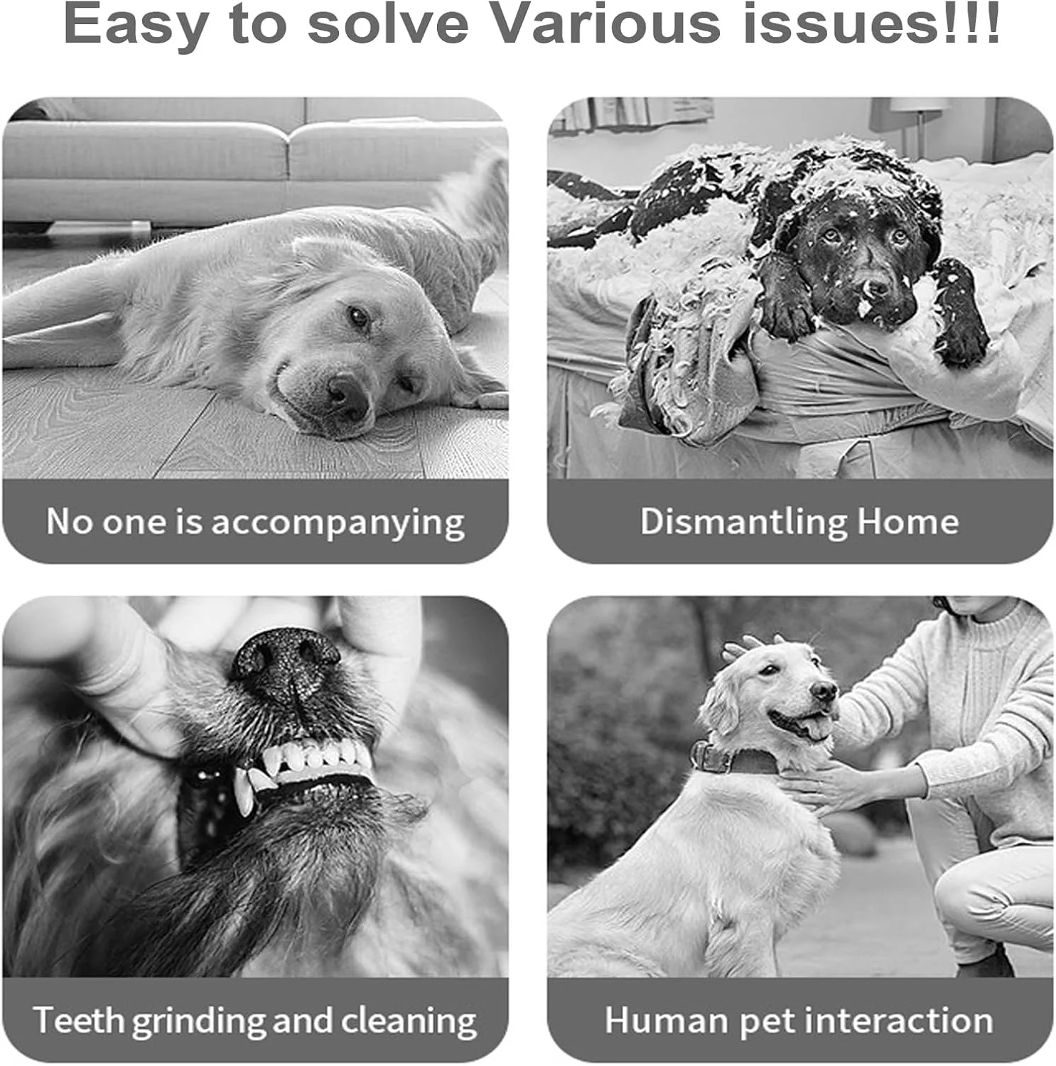 پد بویایی سگ | پد غنیسازی برای حیوانات خانگی، پد بویایی سگ مقاوم در برابر پارگی برای آموزش شناختی، تحریک ذهنی، تقویت مغز، رفع خستگی، خانه، مسافرت، کمپینگ پد بویایی سگ | پد غنیسازی برای حیوانات خانگی، پد بویایی سگ مقاوم در برابر پارگی برای آموزش شناختی، تحریک ذهنی، تقویت مغز، رفع خستگی، خانه، مسافرت، کمپینگ