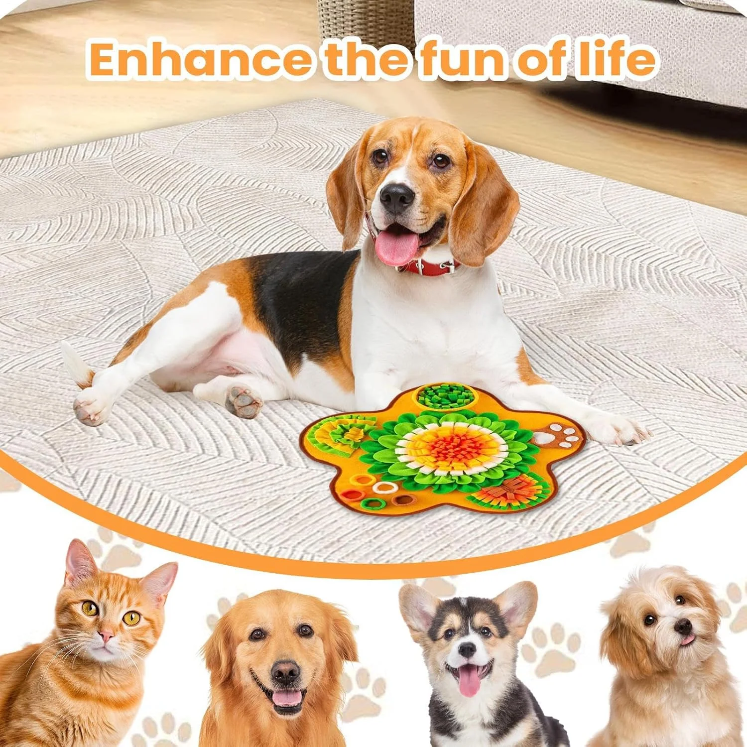 پد بویایی سگ، پد تعاملی بویایی حیوانات خانگی - پد بویایی مقاوم در برابر گاز گرفتن سگ برای تقویت مغز، آموزش شناختی، تحریک ذهنی و غنی سازی پد بویایی سگ، پد تعاملی بویایی حیوانات خانگی - پد بویایی مقاوم در برابر گاز گرفتن سگ برای تقویت مغز، آموزش شناختی، تحریک ذهنی و غنی سازی