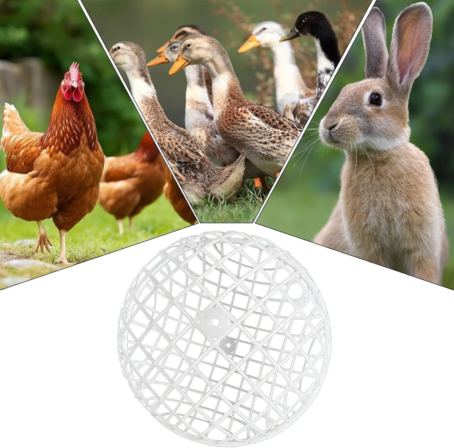 قفس مرغ برای فضای باز، قفس توپی همستر چرخشی، محوطه و آغل حیوانات کوچک برای مزرعه، حیاط خلوت، ورزش، نگهداری، چرا، مسکن در فضای باز، محوطه گردشی قفس مرغ برای فضای باز، قفس توپی همستر چرخشی، محوطه و آغل حیوانات کوچک برای مزرعه، حیاط خلوت، ورزش، نگهداری، چرا، مسکن در فضای باز، محوطه گردشی