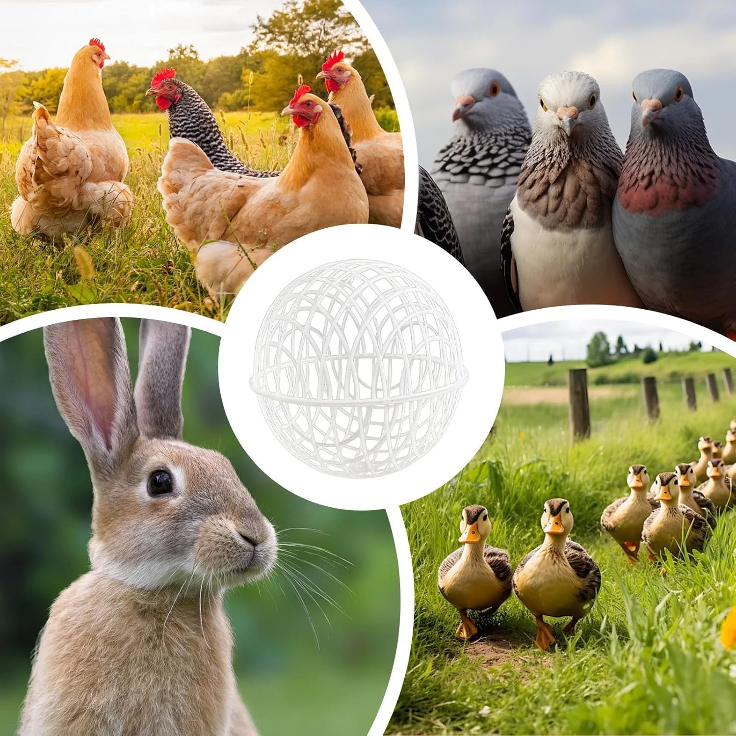 توپ قفس ایمنی مرغ | توپ متحرک قفس مرغداری چرخشی | قفس مرغ توری متحرک امن برای جوجه خرگوش کبوتر همستر اردک توپ قفس ایمنی مرغ | توپ متحرک قفس مرغداری چرخشی | قفس مرغ توری متحرک امن برای جوجه خرگوش کبوتر همستر اردک