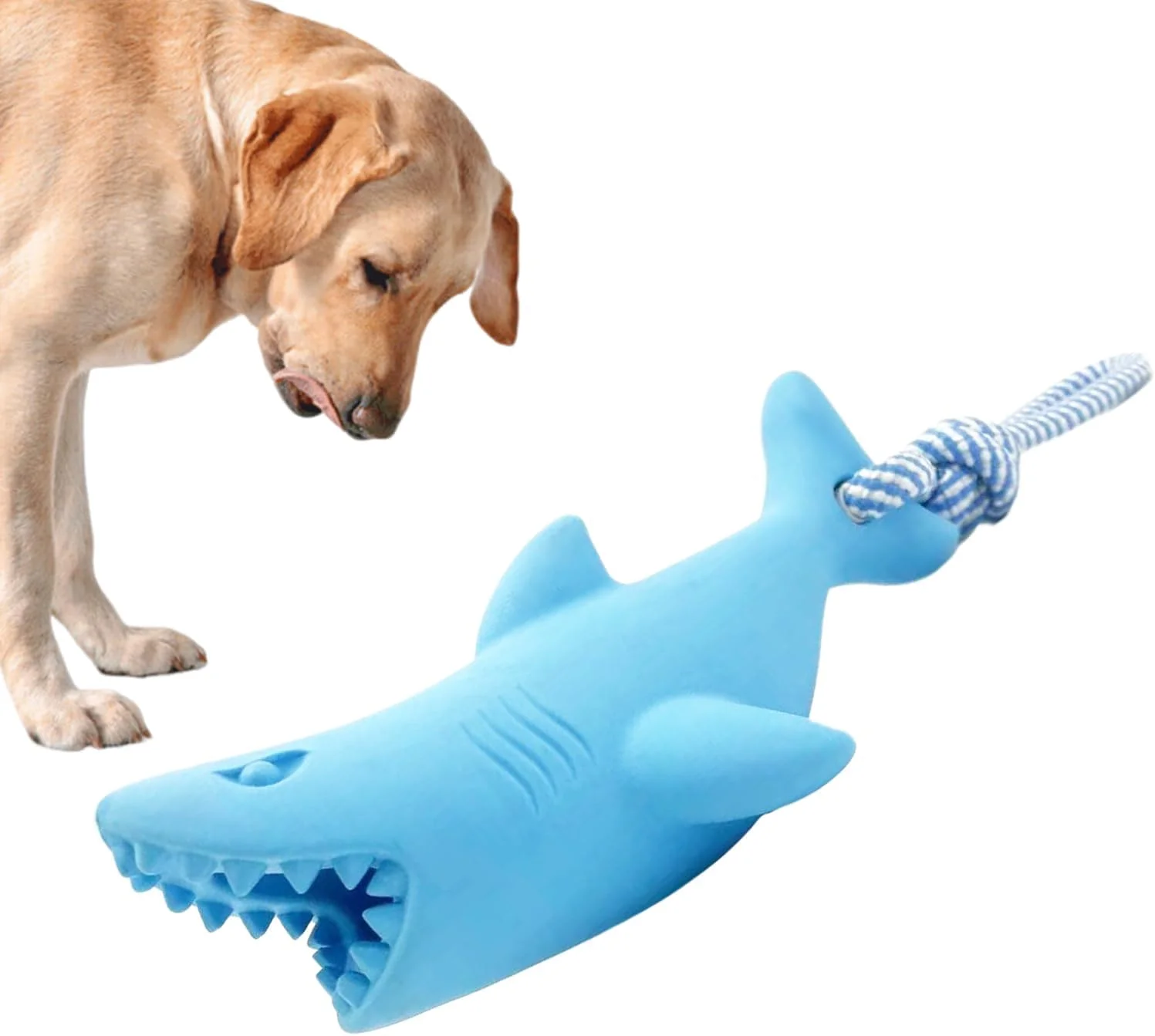 اسباب بازی طناب کشی سگ، اسباب بازی هایی برای مشغول نگه داشتن سگ ها - فعالیت سرگرمی سخت برای توله سگ برای بازی های فچ، طناب کشی، آموزش غنی سازی، کاهش بی حوصلگی، بازی در فضای داخلی و خارجی، مسافرت اسباب بازی طناب کشی سگ، اسباب بازی هایی برای مشغول نگه داشتن سگ ها - فعالیت سرگرمی سخت برای توله سگ برای بازی های فچ، طناب کشی، آموزش غنی سازی، کاهش بی حوصلگی، بازی در فضای داخلی و خارجی، مسافرت