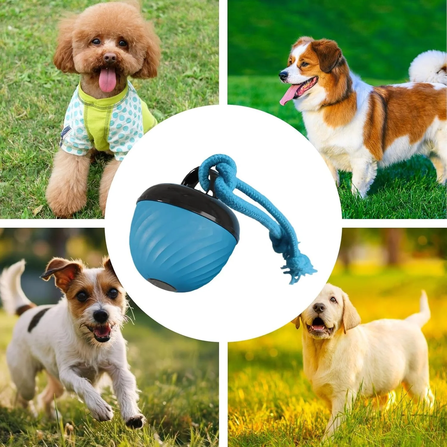 توپ بازی تعاملی سگ، توپ غلتان متحرک خودکار حیوانات خانگی | 3 حالت بازی تعاملی هوشمند سگ برای دندان درآوردن، کاهش بی حوصلگی، جویدن تهاجمی، ایجاد تعامل توپ بازی تعاملی سگ، توپ غلتان متحرک خودکار حیوانات خانگی | 3 حالت بازی تعاملی هوشمند سگ برای دندان درآوردن، کاهش بی حوصلگی، جویدن تهاجمی، ایجاد تعامل