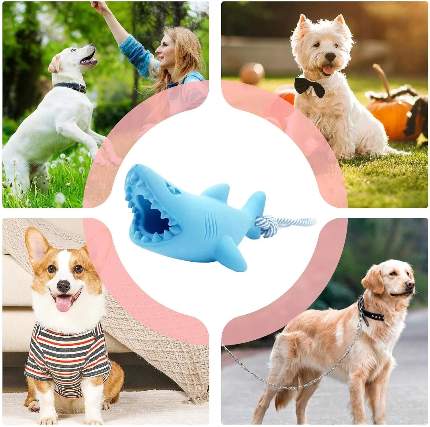 اسباب بازی سگ برای جویدن تهاجمی، اسباب بازی های جویدنی تخریب ناپذیر برای سگ ها | طناب کشی سگ برای بازی در فضای باز و داخل خانه، آموزش و کاهش بی حوصلگی در سفر و خانه اسباب بازی سگ برای جویدن تهاجمی، اسباب بازی های جویدنی تخریب ناپذیر برای سگ ها | طناب کشی سگ برای بازی در فضای باز و داخل خانه، آموزش و کاهش بی حوصلگی در سفر و خانه