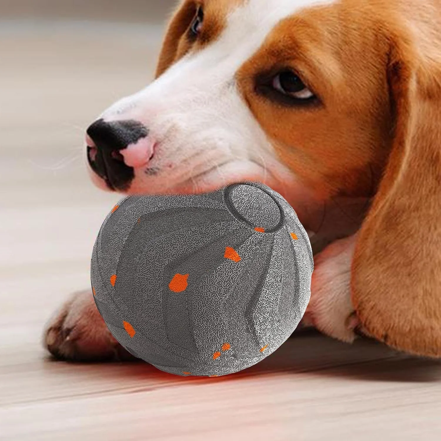 توپ متحرک اتوماتیک سگ، اسباب بازی های متحرک و چرخشی برقی سگ - توپ اسباب بازی حیوانات خانگی جهشی اتوماتیک قابل شارژ USB برای باغ، درب ورودی، پاسیو، گاراژ، پارک، چمن، حیاط خلوت توپ متحرک اتوماتیک سگ، اسباب بازی های متحرک و چرخشی برقی سگ - توپ اسباب بازی حیوانات خانگی جهشی اتوماتیک قابل شارژ USB برای باغ، درب ورودی، پاسیو، گاراژ، پارک، چمن، حیاط خلوت