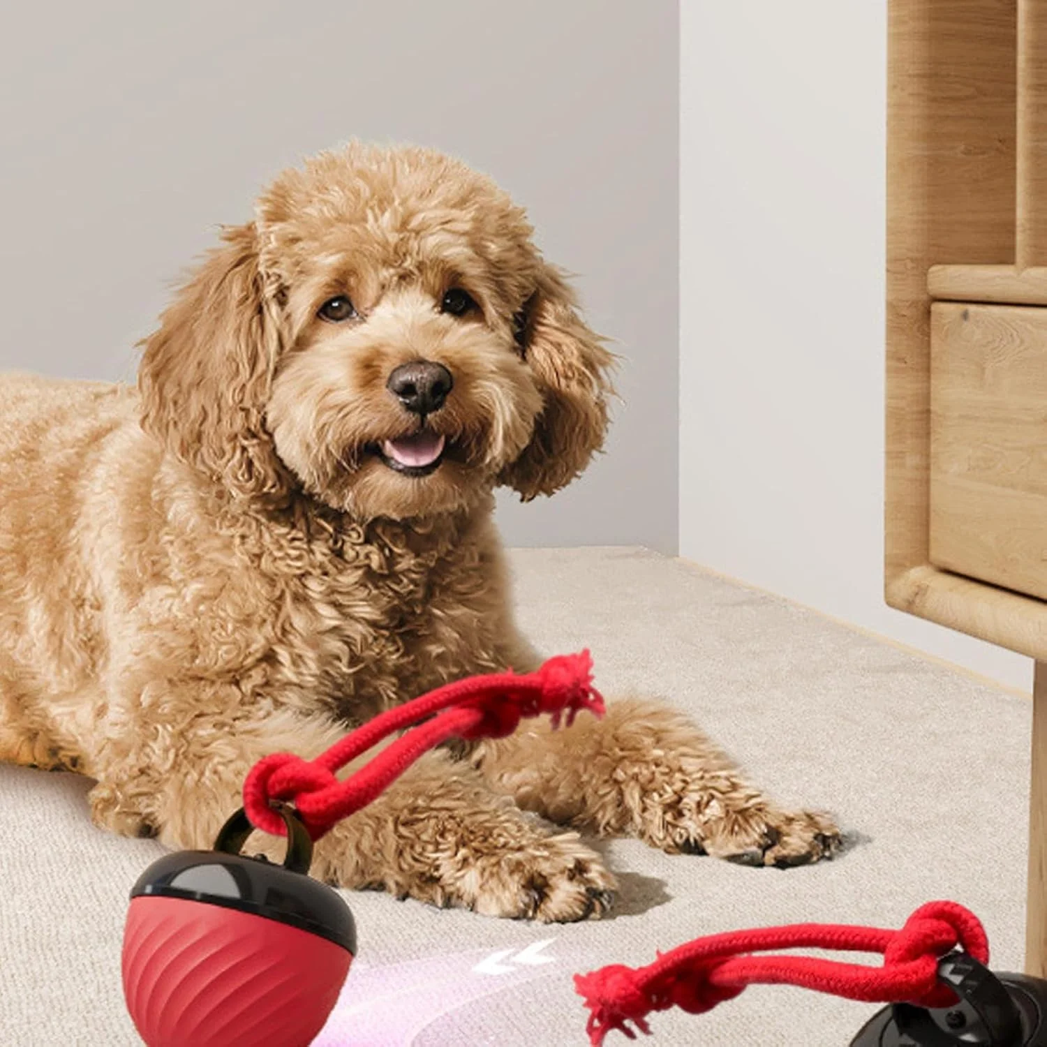 توپ تعاملی سگ - توپ غلتان حیوانات خانگی داخل خانه | بازی تعاملی هوشمند سگ با 3 حالت برای دندان درآوردن، کاهش بی حوصلگی، جویدن تهاجمی، و سرگرم کردن توپ تعاملی سگ - توپ غلتان حیوانات خانگی داخل خانه | بازی تعاملی هوشمند سگ با 3 حالت برای دندان درآوردن، کاهش بی حوصلگی، جویدن تهاجمی، و سرگرم کردن