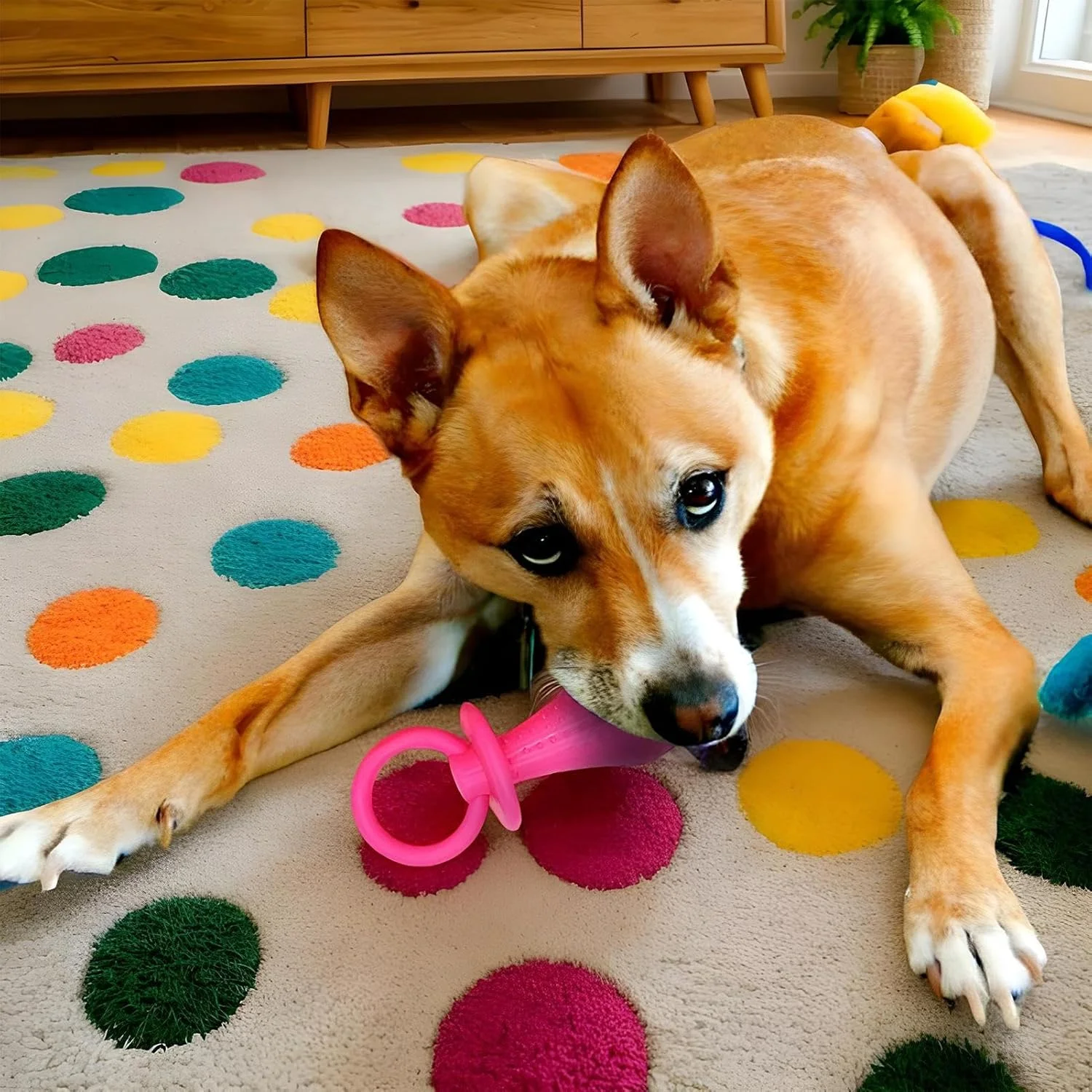 پستانک سگ | پستانک لاستیکی دندان درآوردن توله سگ، اسباب بازی بی خطر تعاملی آرامش بخش حیوانات خانگی برای بازی دندان آسیاب مناسب خوابگاه، مسافرت، فضای داخلی، فضای باز، خانه و پارک پستانک سگ | پستانک لاستیکی دندان درآوردن توله سگ، اسباب بازی بی خطر تعاملی آرامش بخش حیوانات خانگی برای بازی دندان آسیاب مناسب خوابگاه، مسافرت، فضای داخلی، فضای باز، خانه و پارک