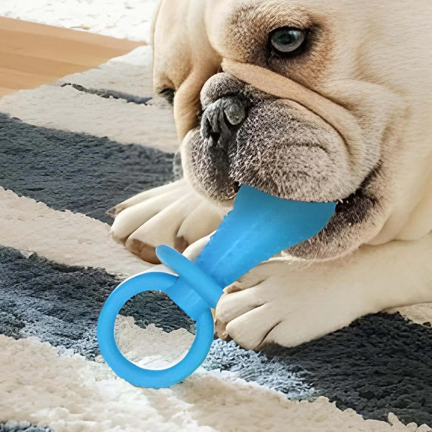 پستانک سگ | پستانک لاستیکی دندان درآوردن توله سگ، اسباب بازی بی خطر تعاملی آرامش بخش حیوانات خانگی برای بازی دندان آسیاب مناسب خوابگاه، مسافرت، فضای داخلی، فضای باز، خانه و پارک پستانک سگ | پستانک لاستیکی دندان درآوردن توله سگ، اسباب بازی بی خطر تعاملی آرامش بخش حیوانات خانگی برای بازی دندان آسیاب مناسب خوابگاه، مسافرت، فضای داخلی، فضای باز، خانه و پارک