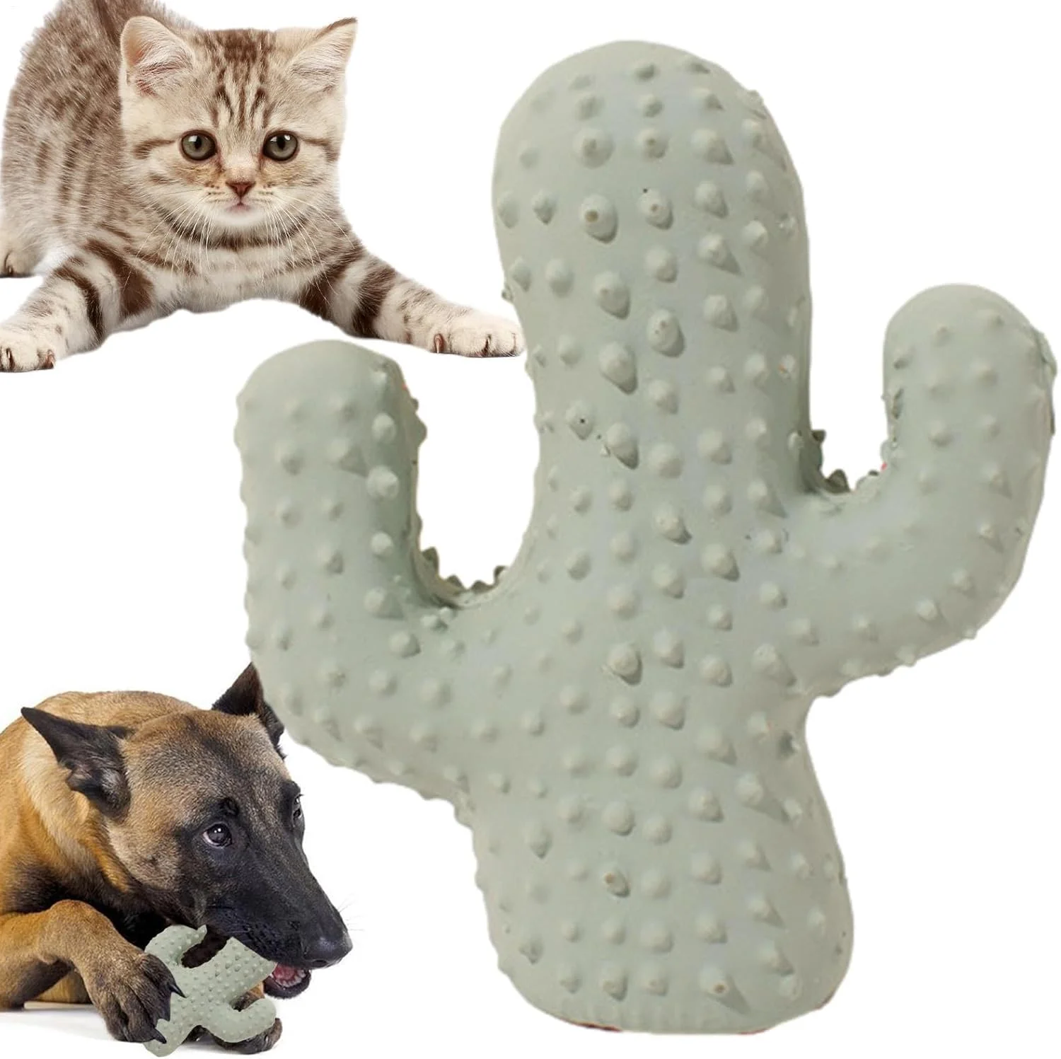 اسباب بازی جویدنی سگ، اسباب بازی سوت دار سگ طرح کاکتوس - اسباب بازی تعاملی و مقاوم برای جویدن و بازی توله سگ ها و سگ ها اسباب بازی جویدنی سگ، اسباب بازی سوت دار سگ طرح کاکتوس - اسباب بازی تعاملی و مقاوم برای جویدن و بازی توله سگ ها و سگ ها