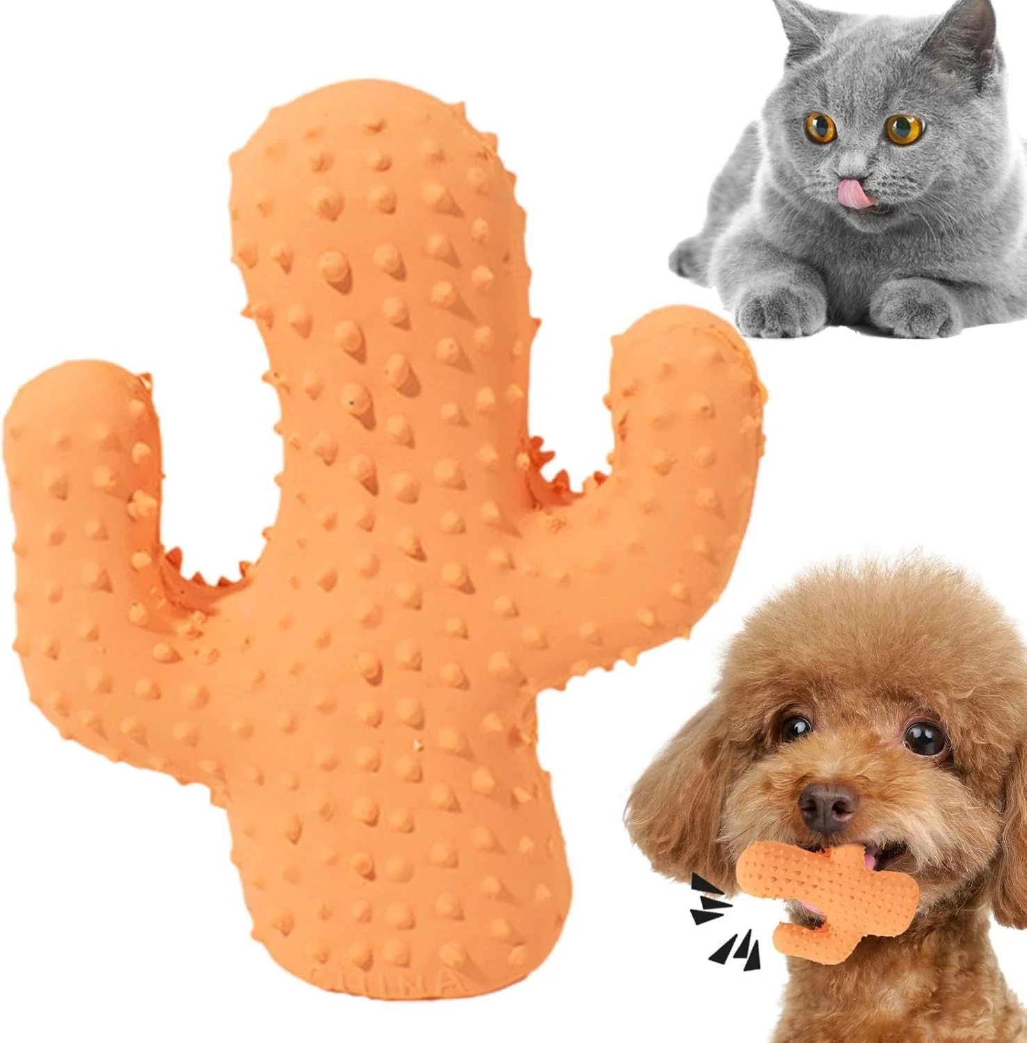 اسباب بازی های جویدنی سگ توله سگ برای دندان درآوردن - اسباب بازی دندان درآوردن به شکل کاکتوس برای توله سگ ها، مقاوم در برابر گاز گرفتن برای سگ های کوچک، متوسط و بزرگ، تمیز کردن دندان توله سگ ها اسباب بازی های جویدنی سگ توله سگ برای دندان درآوردن - اسباب بازی دندان درآوردن به شکل کاکتوس برای توله سگ ها، مقاوم در برابر گاز گرفتن برای سگ های کوچک، متوسط و بزرگ، تمیز کردن دندان توله سگ ها