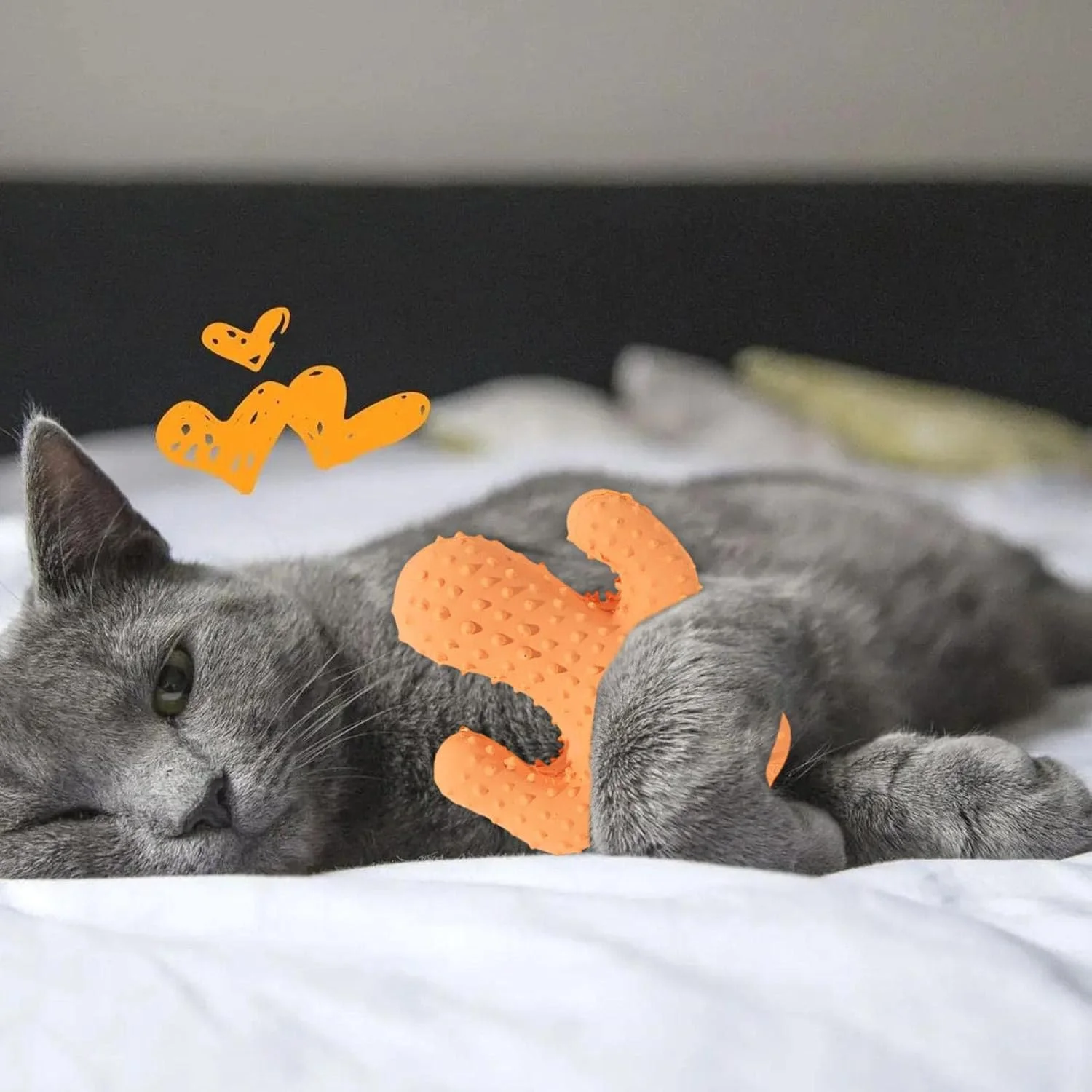 اسباب بازی جویدنی توله سگ برای دندان درآوردن - اسباب بازی های صدادار کاکتوس توله سگ | جویدن برای حیوانات خانگی، برای بازی در داخل خانه، پشتیبانی از گاز گرفتن فعال اسباب بازی جویدنی توله سگ برای دندان درآوردن - اسباب بازی های صدادار کاکتوس توله سگ | جویدن برای حیوانات خانگی، برای بازی در داخل خانه، پشتیبانی از گاز گرفتن فعال