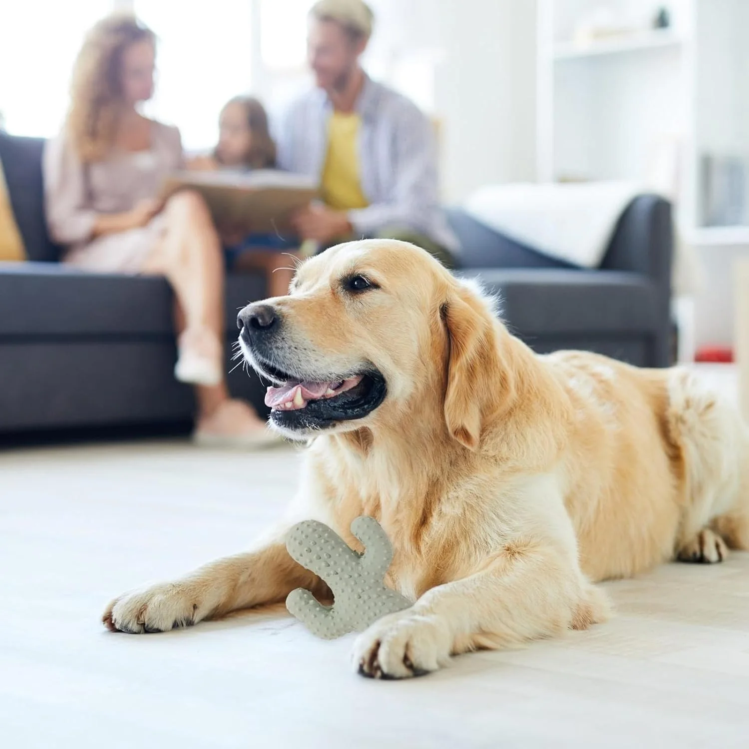 اسباب بازی جویدنی توله سگ برای دندان درآوردن، اسباب بازی سگ صدا دار طرح کاکتوس | جویدن حیوانات خانگی برای تمیز کردن دندان ها و محافظت از سلامت سگ ها و توله سگ ها