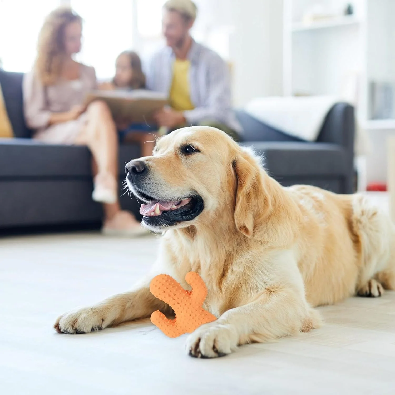 اسباب بازی جویدنی توله سگ برای دندان درآوردن، اسباب بازی سوت دار سگ طرح کاکتوس، اسباب بازی جویدنی تعاملی حیوانات خانگی برای نژادهای کوچک، متوسط و بزرگ، تمیز کننده دندان