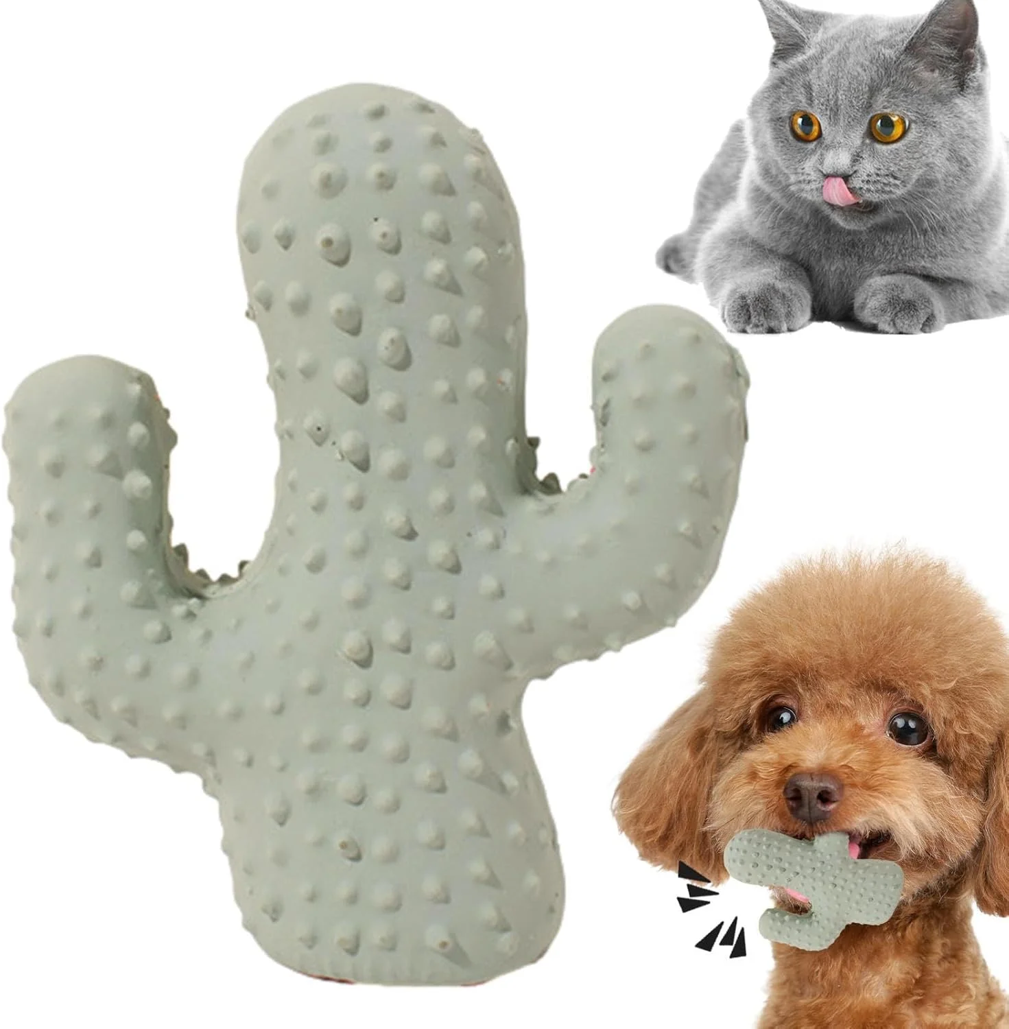 اسباب بازی جویدنی توله سگ برای دندان درآوردن، اسباب بازی سوت دار سگ طرح کاکتوس | مقاوم در برابر گاز گرفتن مناسب برای سگ های کوچک، متوسط و بزرگ برای تمیز کردن دندان توله سگ