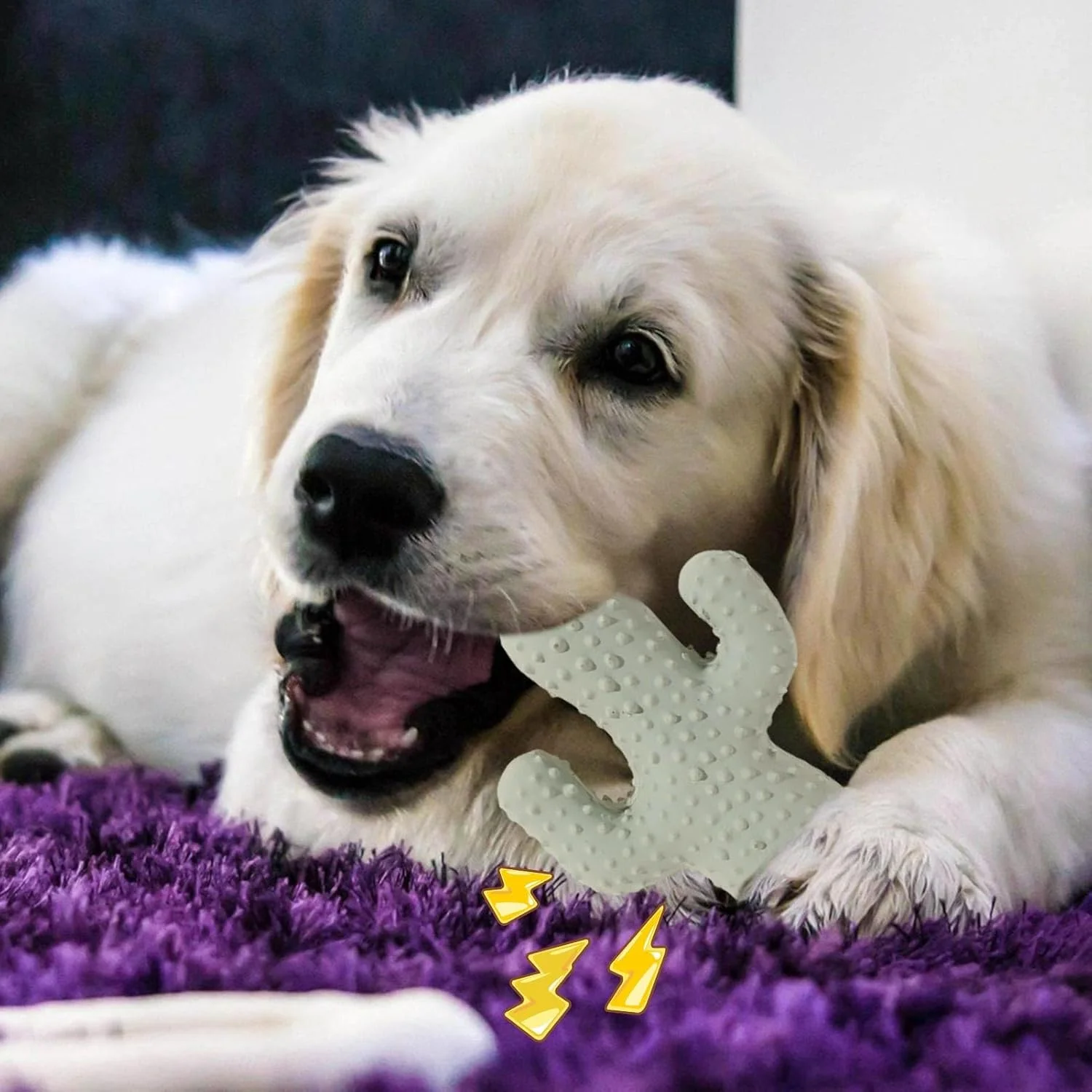 اسباب بازی جویدنی توله سگ برای دندان درآوردن، اسباب بازی سوت دار سگ طرح کاکتوس | مقاوم در برابر گاز گرفتن مناسب برای سگ های کوچک، متوسط و بزرگ برای تمیز کردن دندان توله سگ