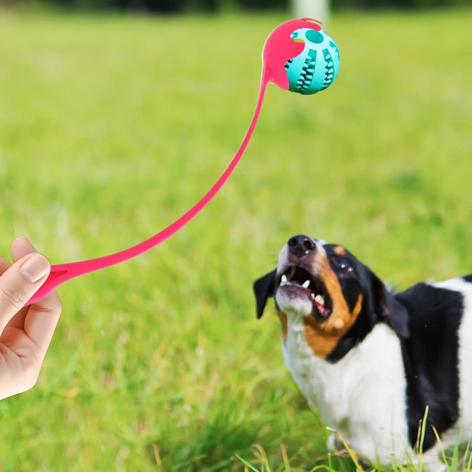 پرتاب کننده توپ سگ - پرتاب کننده توپ برای سگ های بزرگ با دسته ارگونومیک، اسباب بازی فچ برای تمرین و بازی حیوانات خانگی در حیاط، ساحل، پارک پرتاب کننده توپ سگ - پرتاب کننده توپ برای سگ های بزرگ با دسته ارگونومیک، اسباب بازی فچ برای تمرین و بازی حیوانات خانگی در حیاط، ساحل، پارک