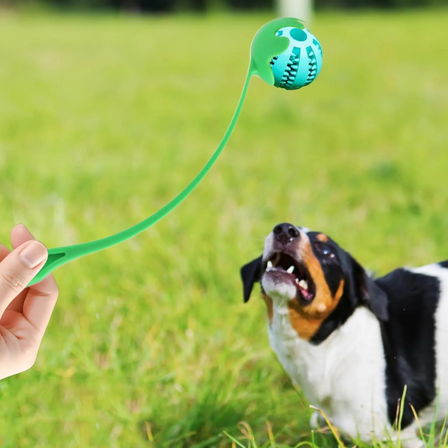 پرتاب کننده توپ تنیس - پرتاب کننده توپ برای سگ های بزرگ با دسته ارگونومیک، اسباب بازی تعاملی پرتاب برای بازی ورزشی حیوانات خانگی در پارک ساحلی پرتاب کننده توپ تنیس - پرتاب کننده توپ برای سگ های بزرگ با دسته ارگونومیک، اسباب بازی تعاملی پرتاب برای بازی ورزشی حیوانات خانگی در پارک ساحلی