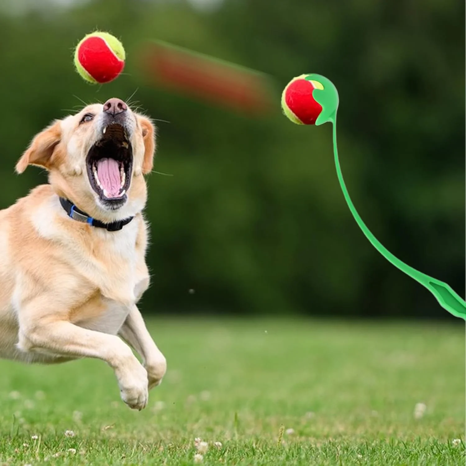 پرتاب کننده توپ تنیس - پرتاب کننده توپ برای سگ های بزرگ با دسته ارگونومیک، اسباب بازی تعاملی پرتاب برای بازی ورزشی حیوانات خانگی در پارک ساحلی پرتاب کننده توپ تنیس - پرتاب کننده توپ برای سگ های بزرگ با دسته ارگونومیک، اسباب بازی تعاملی پرتاب برای بازی ورزشی حیوانات خانگی در پارک ساحلی