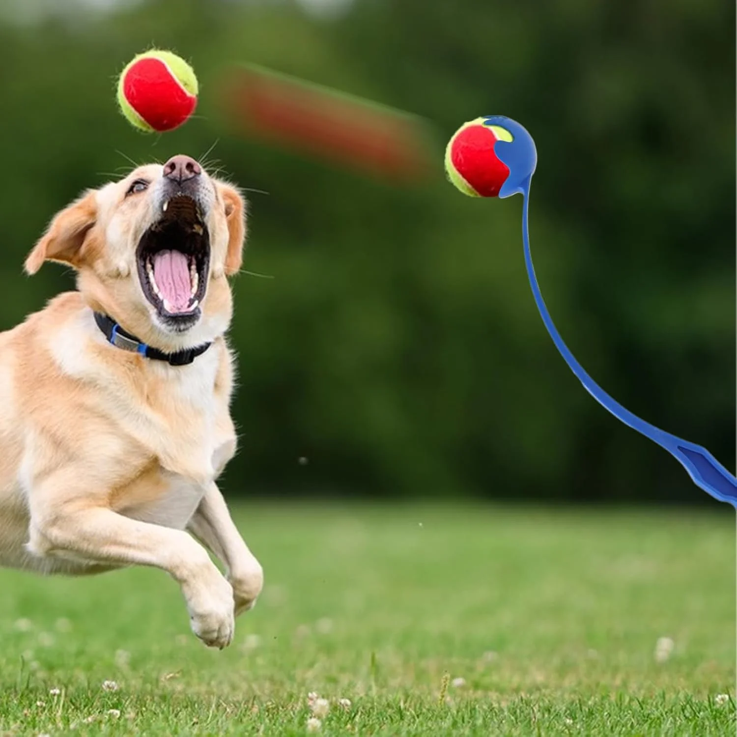 پرتاب کننده توپ سگ، پرتاب کننده توپ برای سگ ها با دسته ارگونومیک - اسباب بازی تعاملی و قابل حمل برای آموزش پرتاب سگ در حیاط، ساحل و پارک