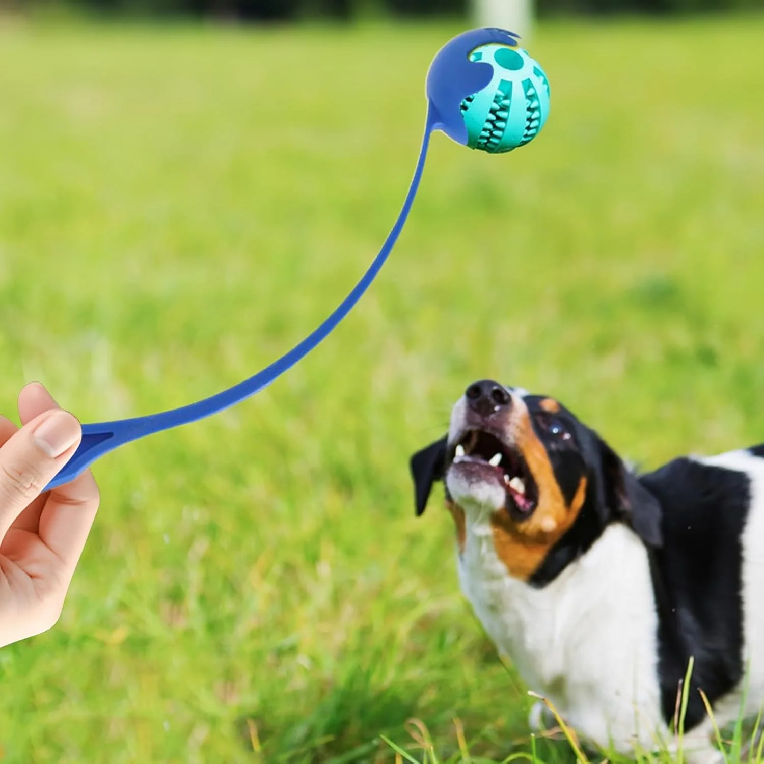 پرتاب کننده توپ تنیس برای سگ ها، پرتاب کننده توپ برای سگ ها با دسته ارگونومیک، اسباب بازی های تعاملی برای بازی پرتاب، تمرین و آموزش در حیاط، پارک و ساحل پرتاب کننده توپ تنیس برای سگ ها، پرتاب کننده توپ برای سگ ها با دسته ارگونومیک، اسباب بازی های تعاملی برای بازی پرتاب، تمرین و آموزش در حیاط، پارک و ساحل