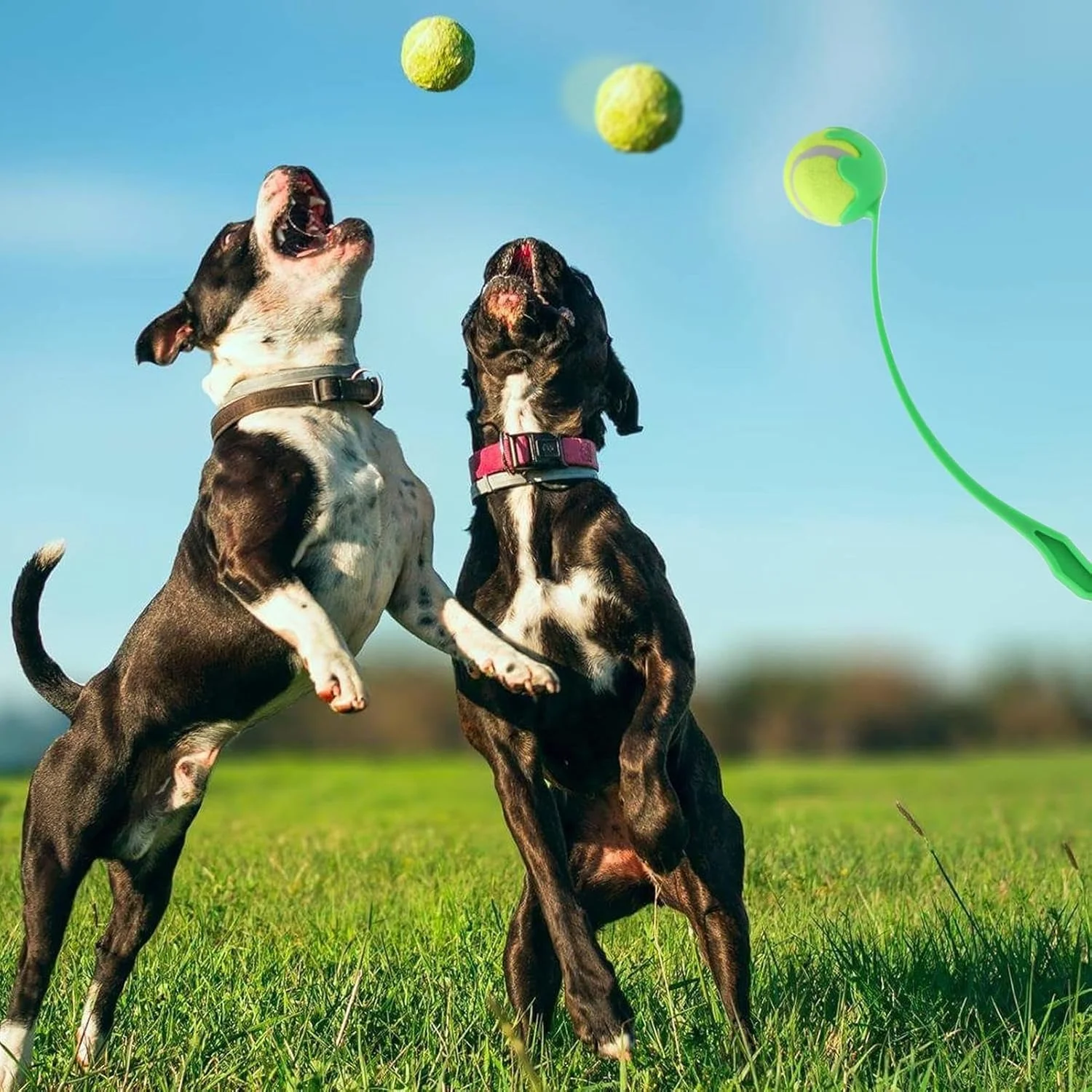 پرتاب کننده توپ سگ | پرتاب کننده توپ برای سگ های بزرگ با دسته ارگونومیک، اسباب بازی های تعاملی برای بازی پرتاب، تمرین و آموزش در حیاط، پارک و ساحل