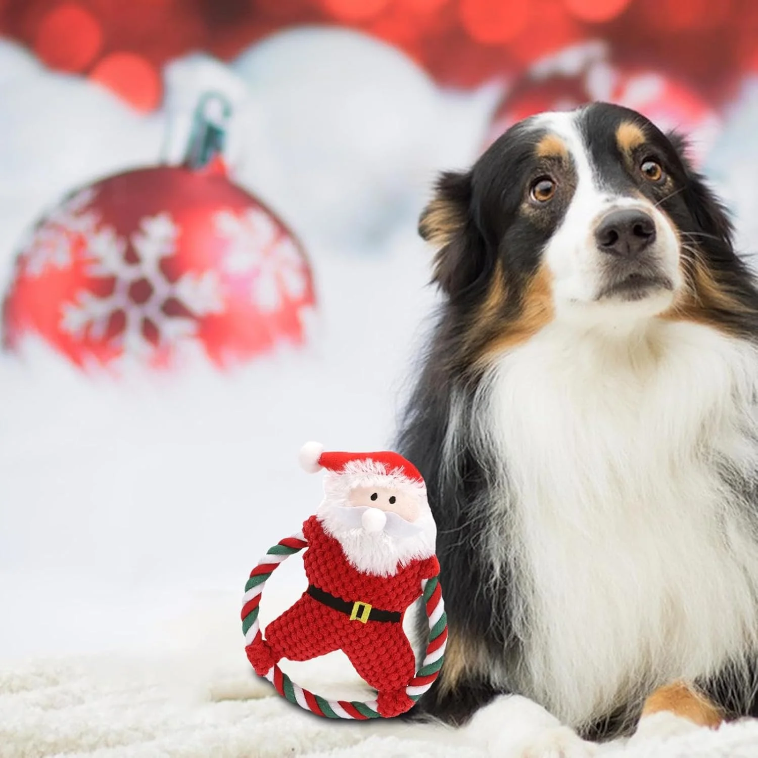 اسباب بازی سگ کریسمس - اسباب بازی های جویدنی سگ بابانوئل کریسمس - عروسک دندان گیر زیبا برای حیوانات خانگی کوچک و متوسط نژاد مسن، مناسب فضای باز، پارک، اتاق خواب، منزل