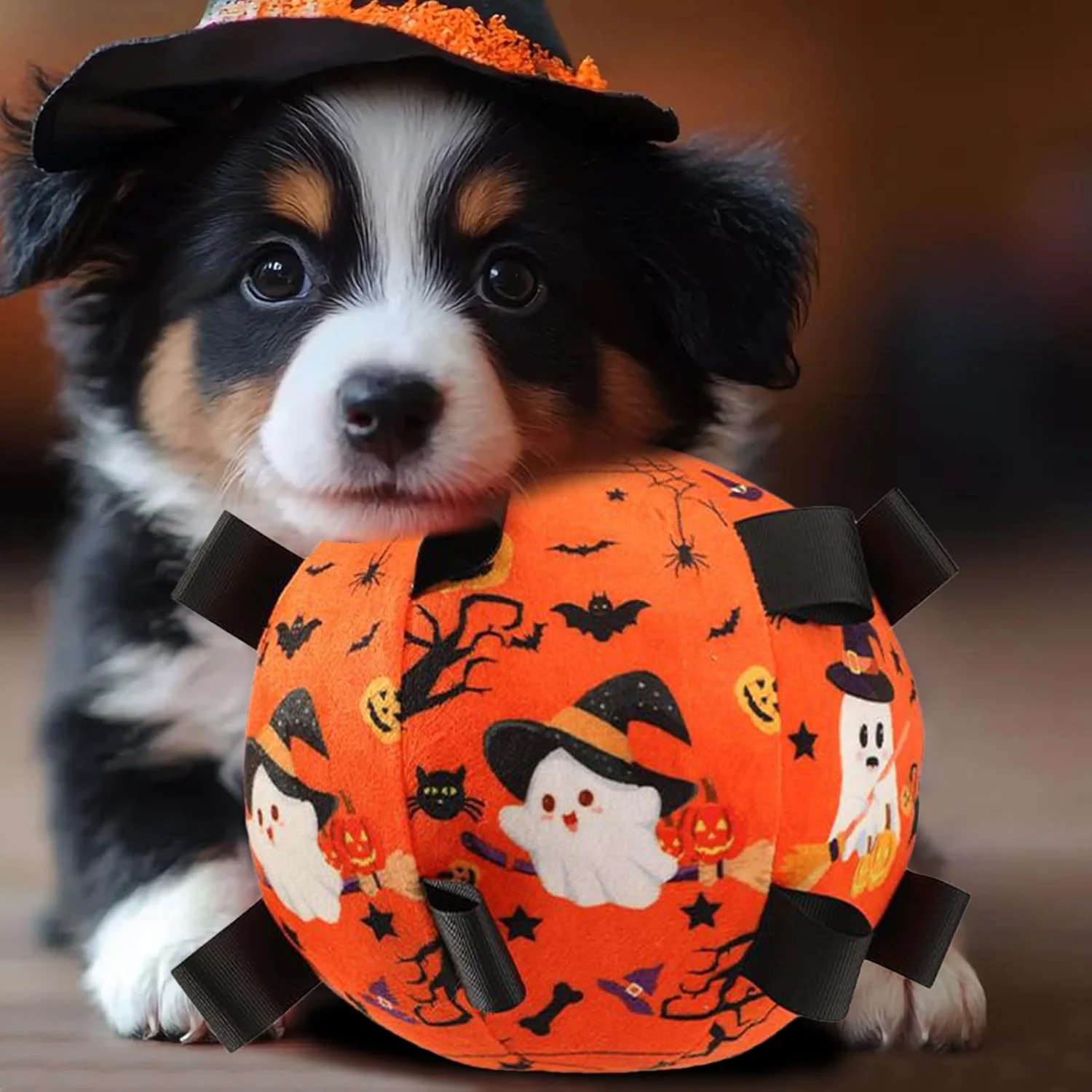 توپ فوتبال سگ با بند | توپ فوتبال تعاملی حیوانات خانگی هالووین - اسباب بازی جویدنی زنگوله ای تعاملی سگ برای آموزش خانگی، دندان درآوردن، تعقیب، رفع بی حوصلگی، بازی در فضای باز توپ فوتبال سگ با بند | توپ فوتبال تعاملی حیوانات خانگی هالووین - اسباب بازی جویدنی زنگوله ای تعاملی سگ برای آموزش خانگی، دندان درآوردن، تعقیب، رفع بی حوصلگی، بازی در فضای باز