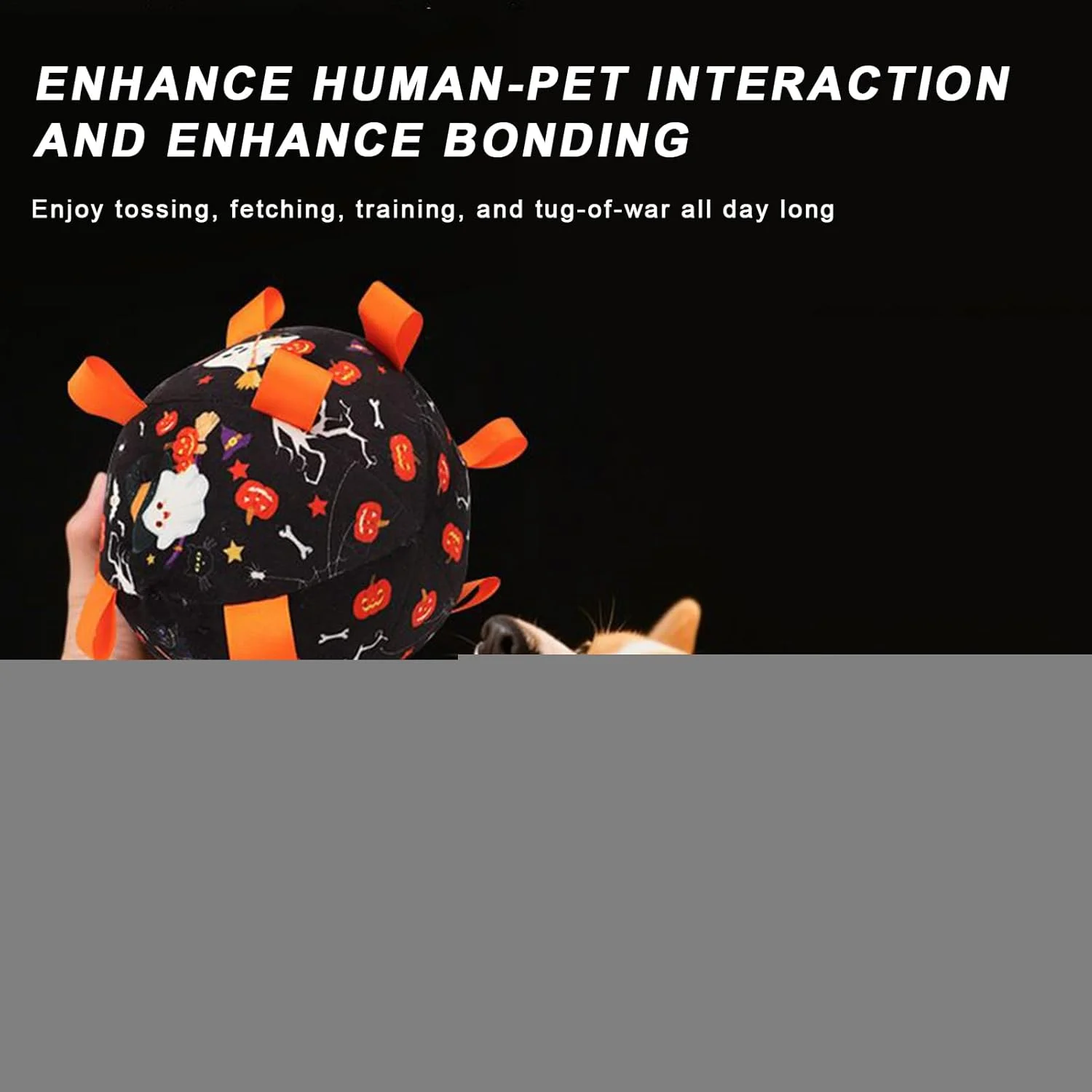 توپ فوتبال سگ، توپ فوتبال حیوانات خانگی هالووین - اسباب بازی تعاملی سگ با صدای زنگ برای تعقیب، شکار، آموزش، تحریک و رفع خستگی، بازی در فضای باز و داخل خانه توپ فوتبال سگ، توپ فوتبال حیوانات خانگی هالووین - اسباب بازی تعاملی سگ با صدای زنگ برای تعقیب، شکار، آموزش، تحریک و رفع خستگی، بازی در فضای باز و داخل خانه