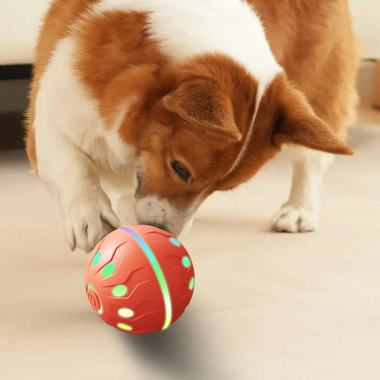 توپ تعاملی برای سگ ها، توپ غلتکی تعاملی اسباب بازی هوشمند سگ، بازی های جویدنی لوازم حیوانات خانگی قابل شارژ برای تمرین سگ های بزرگ و کوچک جویدنی تهاجمی توله سگ گربه در فضای داخلی توپ تعاملی برای سگ ها، توپ غلتکی تعاملی اسباب بازی هوشمند سگ، بازی های جویدنی لوازم حیوانات خانگی قابل شارژ برای تمرین سگ های بزرگ و کوچک جویدنی تهاجمی توله سگ گربه در فضای داخلی