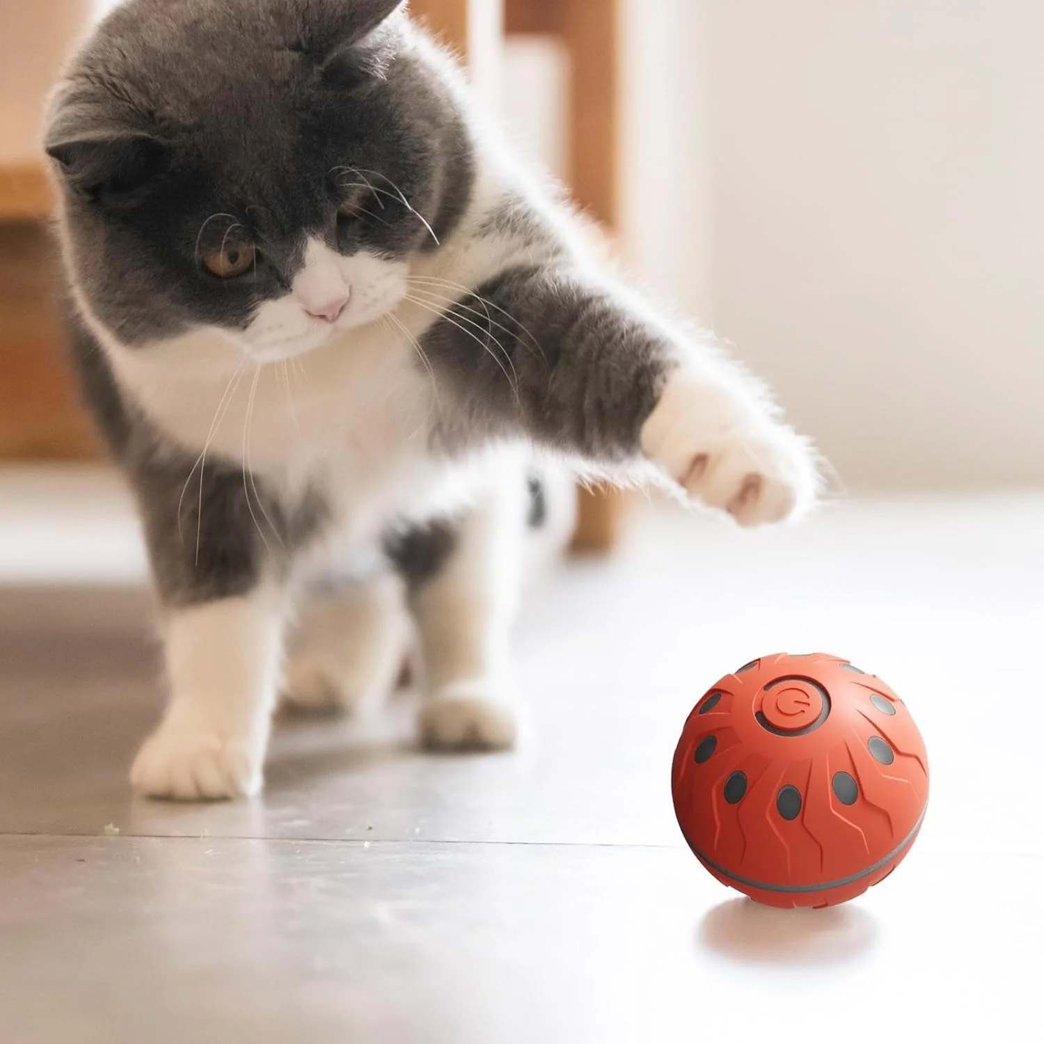 توپ متحرک برای سگ ها | توپ متحرک هوشمند اسباب بازی سگ اتوماتیک | اسباب بازی های جویدنی شارژی لوازم حیوانات خانگی برای تمرین سگ های بزرگ کوچک جویدنی تهاجمی توله سگ گربه در داخل خانه توپ متحرک برای سگ ها | توپ متحرک هوشمند اسباب بازی سگ اتوماتیک | اسباب بازی های جویدنی شارژی لوازم حیوانات خانگی برای تمرین سگ های بزرگ کوچک جویدنی تهاجمی توله سگ گربه در داخل خانه