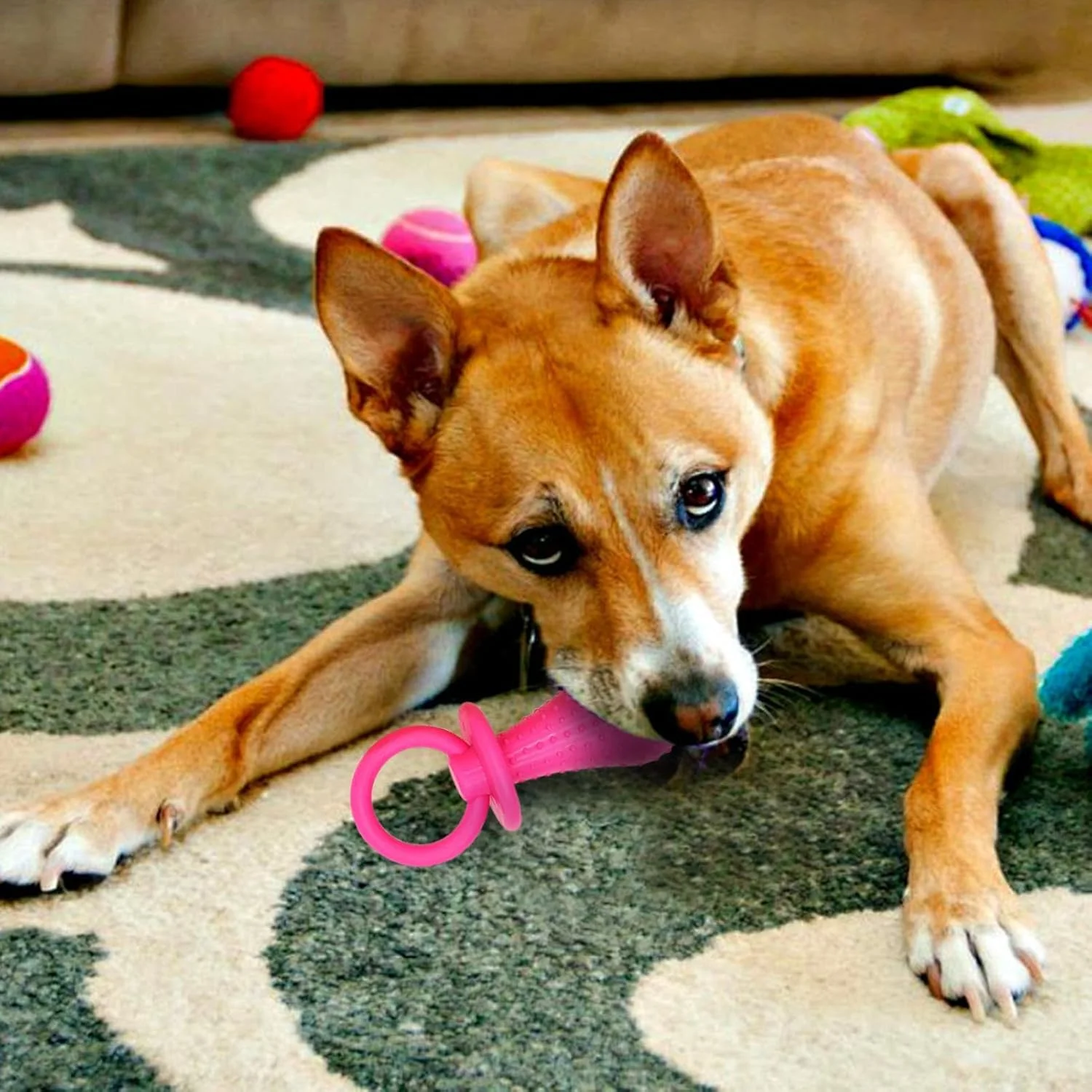 پستانک سگ، اسباب بازی جویدنی پستانک شیردهی تقلبی | دندان گیر آرام بخش تعاملی ایمن برای بازی دندان های آسیاب حیوانات خانگی برای خوابگاه، مسافرت، داخل خانه، خارج از خانه، پارک خانگی پستانک سگ، اسباب بازی جویدنی پستانک شیردهی تقلبی | دندان گیر آرام بخش تعاملی ایمن برای بازی دندان های آسیاب حیوانات خانگی برای خوابگاه، مسافرت، داخل خانه، خارج از خانه، پارک خانگی