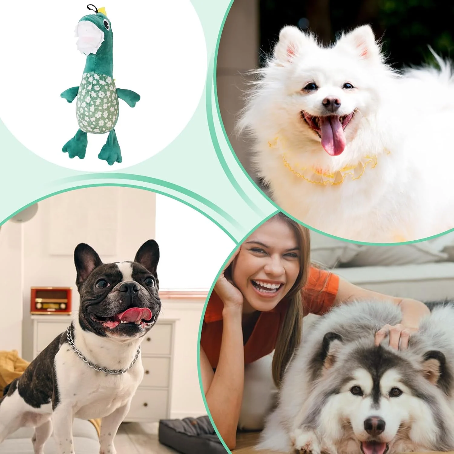 اسباب بازی جویدنی سگ - اسباب بازی جویدنی تعاملی سگ، دایناسور پولیشی | عروسک پولیشی آرامش بخش، لوازم حیوانات خانگی برای سگ های کوچک، متوسط و بزرگ، مناسب بازی، آموزش و غنی سازی در داخل خانه، خارج از خانه، ساحل و سفر اسباب بازی جویدنی سگ - اسباب بازی جویدنی تعاملی سگ، دایناسور پولیشی | عروسک پولیشی آرامش بخش، لوازم حیوانات خانگی برای سگ های کوچک، متوسط و بزرگ، مناسب بازی، آموزش و غنی سازی در داخل خانه، خارج از خانه، ساحل و سفر