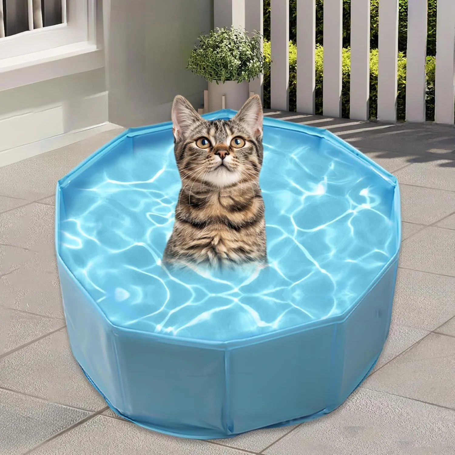 استخر شنا سگ - استخر پارویی تاشو PVC سگ | وان آب پارویی ضد لغزش حیوانات خانگی برای سایر حیوانات گربه توله سگ استخر شنا سگ - استخر پارویی تاشو PVC سگ | وان آب پارویی ضد لغزش حیوانات خانگی برای سایر حیوانات گربه توله سگ