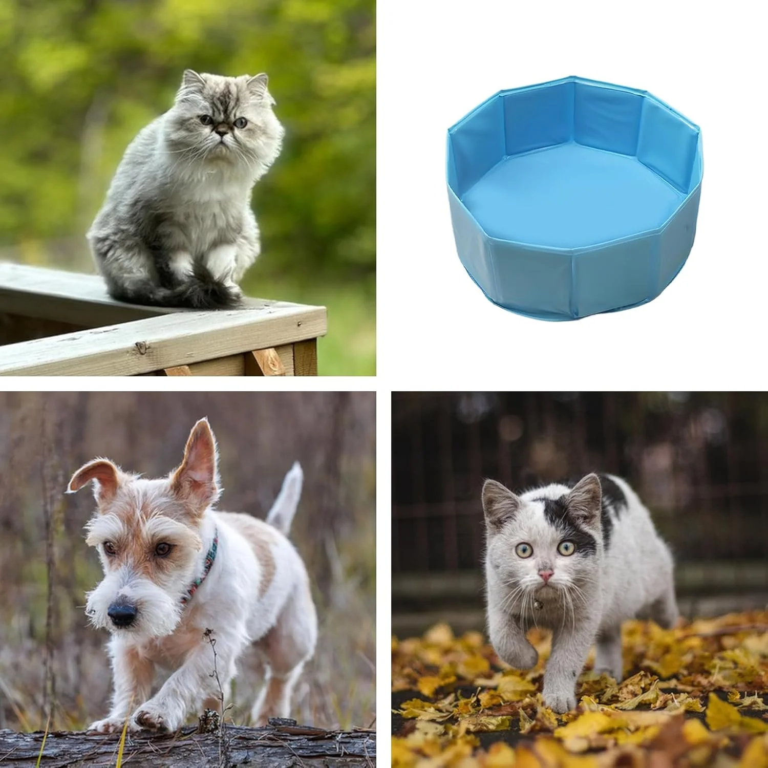 استخر شنا سگ - استخر پارویی تاشو PVC سگ | وان آب پارویی ضد لغزش حیوانات خانگی برای سایر حیوانات گربه توله سگ استخر شنا سگ - استخر پارویی تاشو PVC سگ | وان آب پارویی ضد لغزش حیوانات خانگی برای سایر حیوانات گربه توله سگ