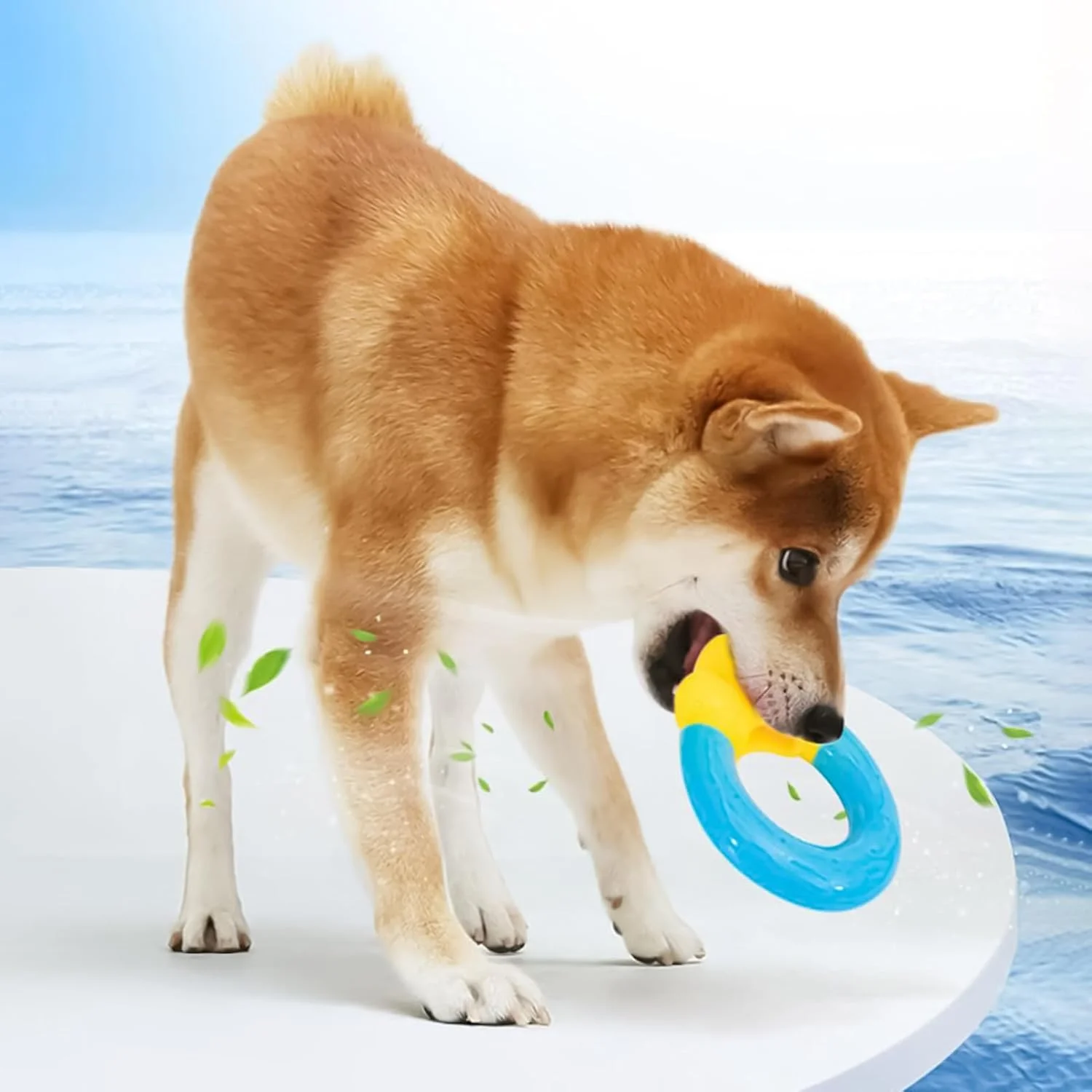 اسباب بازی آبی سگ - اسباب بازی های جویدنی توله سگ | لوازم جویدنی خنک کننده حیوانات خانگی به شکل دونات برای شنا در هوای گرم، بازی پرتابی در فضای باز، حیاط خلوت، ساحل، رفع بی حوصلگی، آموزش در پارک اسباب بازی آبی سگ - اسباب بازی های جویدنی توله سگ | لوازم جویدنی خنک کننده حیوانات خانگی به شکل دونات برای شنا در هوای گرم، بازی پرتابی در فضای باز، حیاط خلوت، ساحل، رفع بی حوصلگی، آموزش در پارک