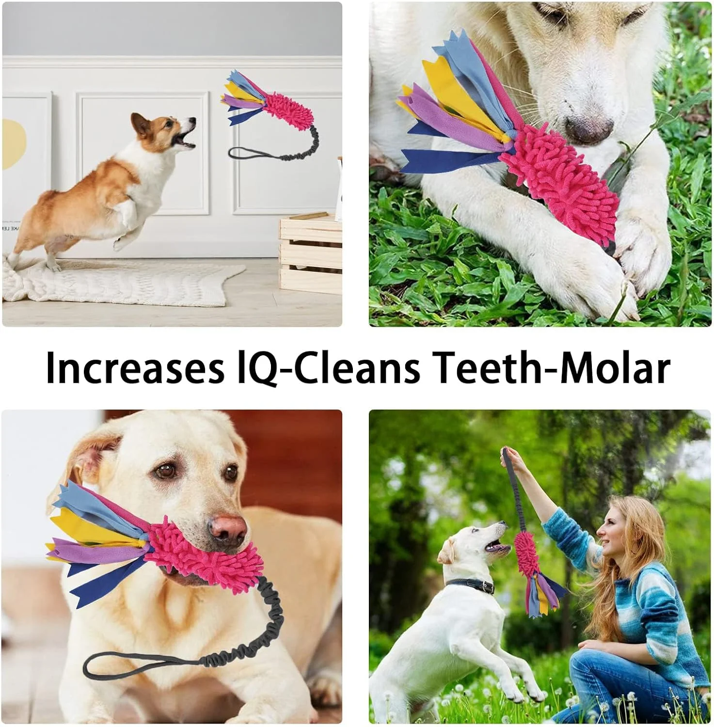 اسباب بازی کششی سگ، اسباب بازی طناب سگ با صدای جیر جیر قوی، طناب آموزشی بازی تعاملی، اسباب بازی های جنگی برای توله سگ، سگ های کوچک، متوسط و بزرگ، دست ساز