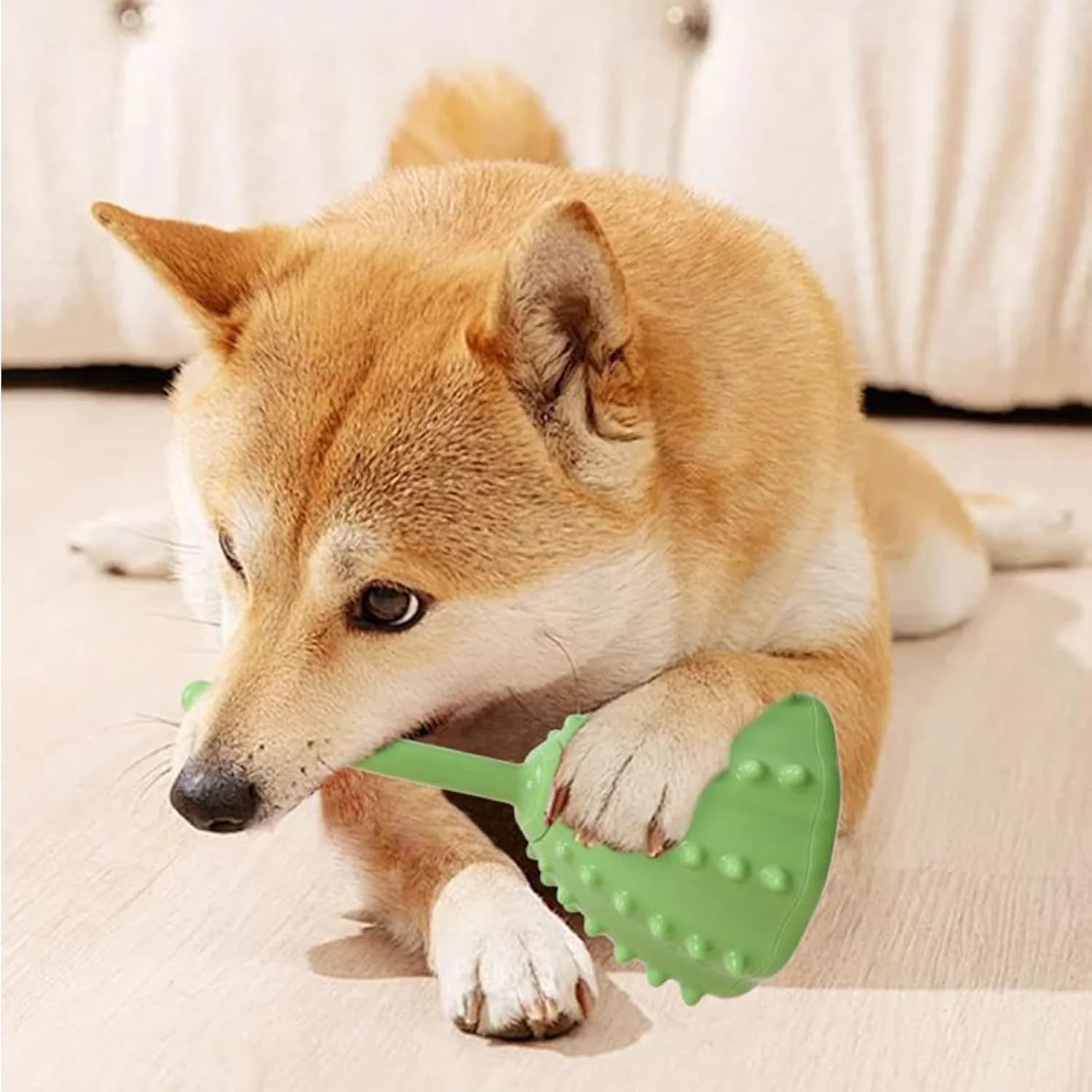 اسباب بازی تشویقی سگ، اسباب بازی های تعاملی حفاری سگ - توپ جستجوی بازی قابل حمل با طراحی گیاهی لوازم حیوانات خانگی برای حیوانات نژاد بزرگ کوچک متوسط ​​در فضای باز خانه