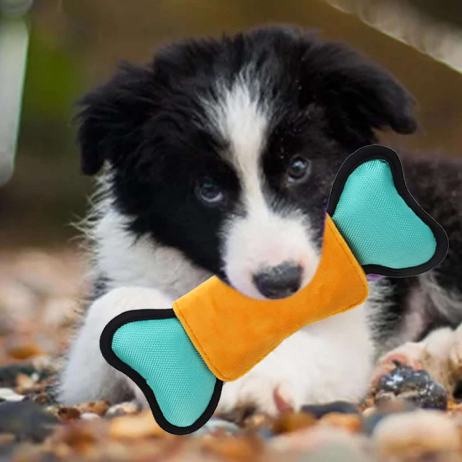 پخش کننده تشویقی سگ - اسباب بازی پازلی سگ، بازی های پازلی لوازم حیوانات خانگی صدادار برای تحریک ذهنی سالم دندان درآوردن سگ های کوچک، متوسط و بزرگ