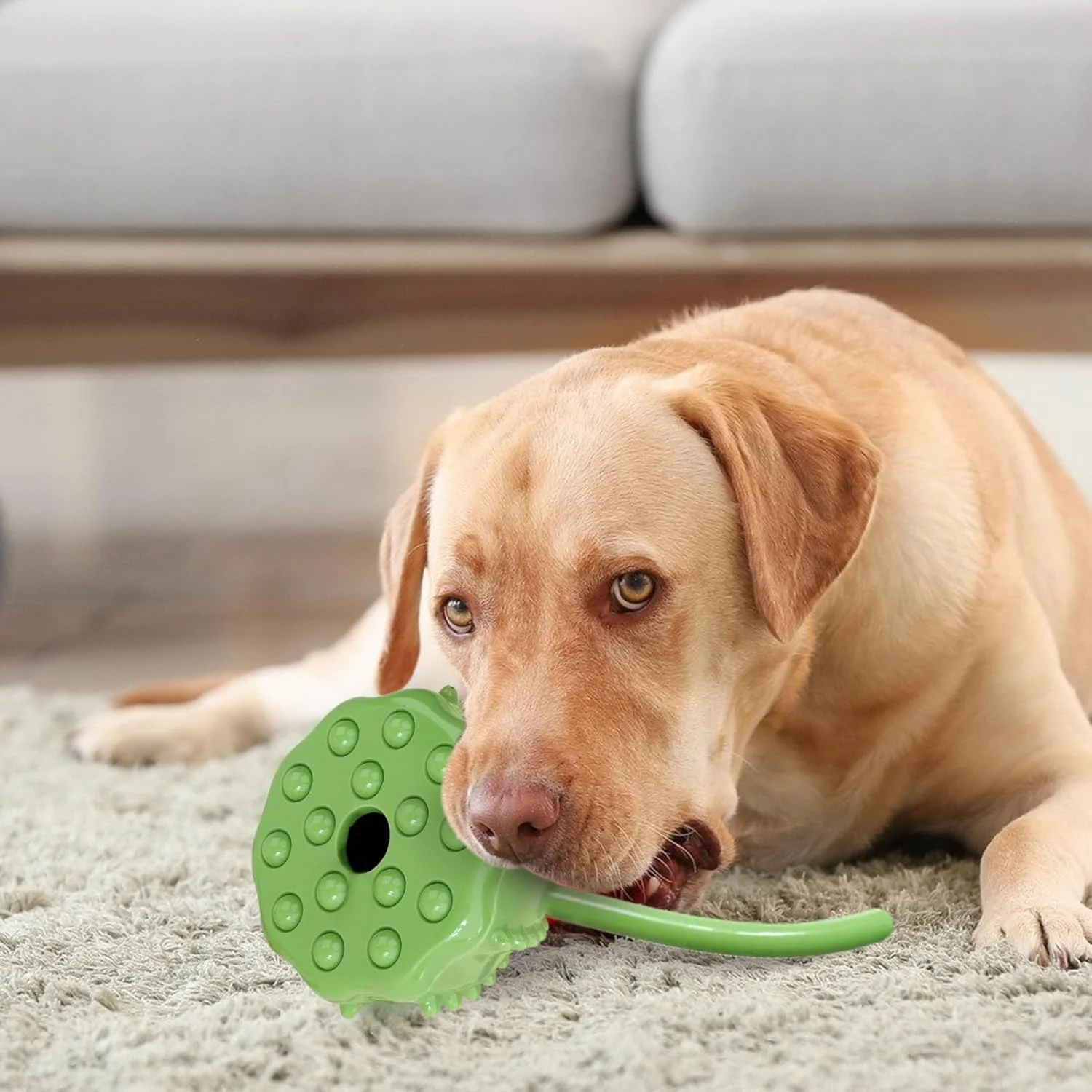 توپ تشویقی سگ - اسباب بازی های حفاری تعاملی سگ - توپ جستجوی قابل حمل، بازی غنی سازی لوازم حیوانات خانگی برای نژادهای کوچک، متوسط و بزرگ، مسافرت، فضای باز، خانه