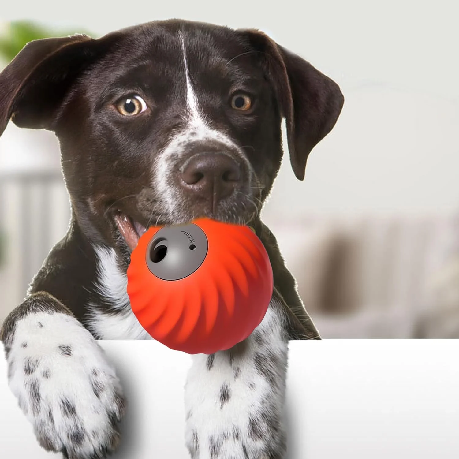 توپ پخش کننده تشویقی سگ 2 در 1 - توپ غذاده آهسته حیوانات خانگی - اسباب بازی پخش کننده تشویقی برای تحریک ذهنی، ورزش، داخل خانه، خارج از خانه، رفع بی حوصلگی، زمان بازی