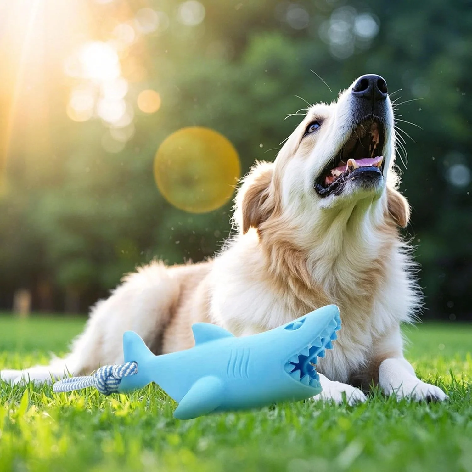 اسباب بازی سگ برای جویدن تهاجمی - اسباب بازی های جویدنی تهاجمی برای سگ های کوچک | فعالیت سرگرمی طناب کشی تعاملی توله سگ برای آموزش غنی سازی، بازی در فضای داخلی و خارجی خانه و مسافرت