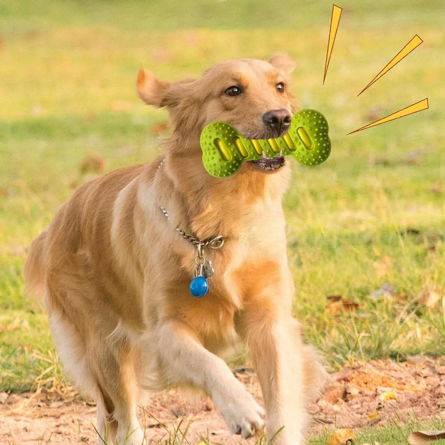 اسباب بازی سگ | استخوان اسباب بازی سگ - حیوان خانگی را مشغول نگه می دارد، بازی حسی سرگرم کننده و آرامش بخش برای دندان درآوردن، جویدن، آموزش و پاداش
