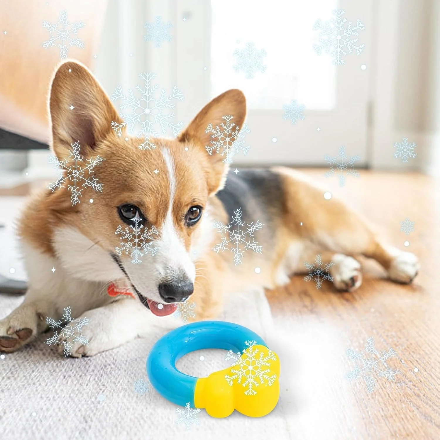 اسباب بازی استخر سگ - اسباب بازی خنک کننده سگ برای تابستان، لوازم خنک کننده حیوانات خانگی به شکل دونات برای آموزش در هوای گرم، مناسب برای بازی های پرتابی در فضای باز، حیاط خلوت، ساحل، پارک و رفع خستگی در شنا